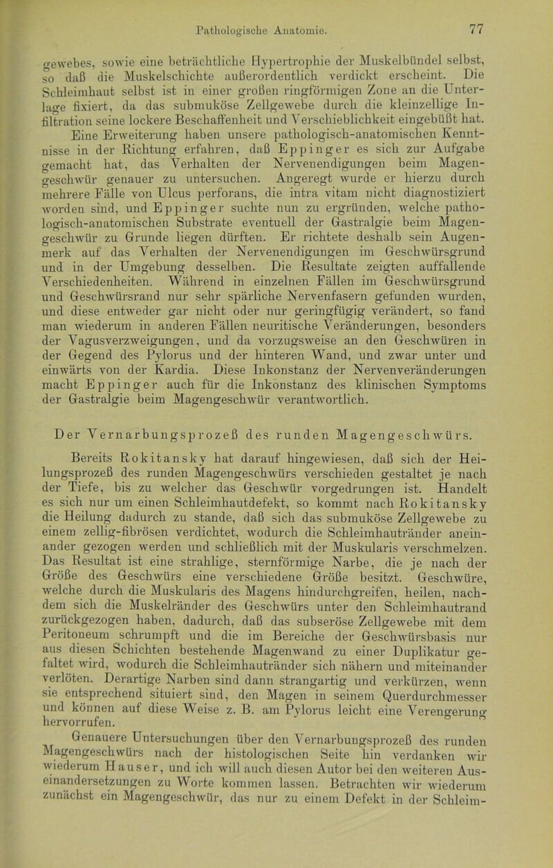 gewebes, sowie eine beträchtliche Hypertrophie der Muskelbündel selbst, so daß die Muskelschichte außerordentlich verdickt erscheint. Die Schleimhaut selbst ist in einer großen ringförmigen Zone an die Unter- lage fixiert, da das submuköse Zellgewebe durch die kleinzellige In- filtration seine lockere Beschaffenheit und Verschieblichkeit eingebüßt hat. Eine Erweiterung haben unsere pathologisch-anatomischen Kennt- nisse in der Richtung erfahren, daß Eppinger es sich zur Aufgabe gemacht hat, das Verhalten der Nervenendigungen beim Magen- geschwür genauer zu untersuchen. Angeregt wurde er hierzu durch mehrere Fälle von Ulcus perforans, die intra vitam nicht diagnostiziert worden sind, und Eppinger suchte nun zu ergründen, welche patho- logisch-anatomischen Substrate eventuell der Gastralgie beim Magen- geschwür zu Grunde liegen dürften. Er richtete deshalb sein Augen- merk auf das Verhalten der Nervenendigungen im Geschwürsgrund und in der Umgebung desselben. Die Resultate zeigten auffallende Verschiedenheiten. Während in einzelnen Fällen im Geschwürsgrund und Geschwürsrand nur sehr spärliche Nervenfasern gefunden wurden, und diese entweder gar nicht oder nur geringfügig verändert, so fand man wiederum in anderen Fällen neuritische Veränderungen, besonders der Vagusverzweigungen, und da vorzugsweise an den Geschwüren in der Gegend des Pylorus und der hinteren Wand, und zwar unter und einwärts von der Kardia. Diese Inkonstanz der Nervenveränderungen macht Eppinger auch für die Inkonstanz des klinischen Symptoms der Gastralgie beim Magengeschwür verantwortlich. Der Vernarbungsprozeß des runden Magengeschwürs. Bereits Rokitansky hat darauf hingewiesen, daß sich der Hei- lungsprozeß des runden Magengeschwürs verschieden gestaltet je nach der Tiefe, bis zu welcher das Geschwür vorgedrungen ist. Handelt es sich nur um einen Schleimhautdefekt, so kommt nach Rokitansky die Heilung dadurch zu stände, daß sich das submuköse Zellgewebe zu einem zeilig-fibrösen verdichtet, wodurch die Schleimhautränder anein- ander gezogen werden und schließlich mit der Muskularis verschmelzen. Das Resultat ist eine strahlige, sternförmige Narbe, die je nach der Größe des Geschwürs eine verschiedene Größe besitzt. Geschwüre, welche durch die Muskularis des Magens hindurchgreifen, heilen, nach- dem sich die Muskelränder des Geschwürs unter den Schleimhautrand zurückgezogen haben, dadurch, daß das subseröse Zellgewebe mit dem Peritoneum schrumpft und die im Bereiche der Geschwürsbasis nur aus diesen Schichten bestehende Magenwand zu einer Duplikatur ge- faltet wird, wodurch die Scbleimhautränder sieb nähern und miteinander verlöten. Derartige Narben sind dann strangartig und verkürzen, wenn sie entsprechend situiert sind, den Magen in seinem Querdurchmesser und können auf diese Weise z. B. am Pylorus leicht eine Verengerung hervorrufen. Genauere Untersuchungen über den Vernarbuugsprozeß des runden Magengeschwürs nach der histologischen Seite hin verdanken wir wiederum Hauser, und ich will auch diesen Autor bei den weiteren Aus- einandersetzungen zu Worte kommen lassen. Betrachten wir wiederum zunächst ein Magengeschwür, das nur zu einem Defekt in der Schleim-