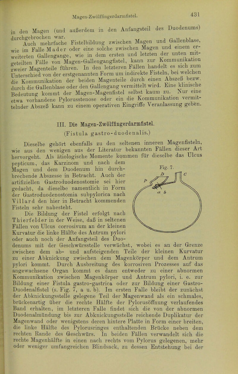 in den Magen (und außerdem in den Anfangsteil des Duodenums) dlUClAuch° mehrfache Fistelbildung zwischen Magen und Gallenblase, wie im Falle Mader oder eine solche zwischen Magen und einem er- weiterten Gallengange, wie in dem ersten und letzten der unten mi - geteilten Fälle von Magen-Gallengangfistel, kann zur Kommunikation zweier Magenteile führen. In den letzteren Fällen handelt es sich zum Unterschied von der erstgenannten Form um indirekte Fisteln, bei welchen die Kommunikation der beiden Magenteile durch einen Abszeß bezw. durch die Gallenblase oder den Gallengang vermittelt wird. Eine klinische Bedeutung kommt der Magen-Magenfistel selbst kaum zu. Nur eine etwa vorhandene Pylorusstenose oder ein die Kommunikation vermit- telnder Abszeß kann zu einem operativen Eingriffe Veranlassung geben. Fig- 7. III. Die Magen-Zwölfiingerdarmfistel. (Fistula gastro-duodenalis.) Dieselbe gehört ebenfalls zu den seltenen inneren Magenfisteln, wie aus den wenigen aus der Literatur bekannten Fällen dieser Ai t hervorgeht. Als ätiologische Momente kommen für dieselbe das Ulcus pepticum, das Karzinom und nach dem Magen und dem Duodenum hin durch- brechende Abszesse in Betracht. Auch der artifiziellen Gastroduodenostomie sei hier gedacht, da dieselbe namentlich in Form der Gastroduodenostomia subpylorica nach Villard den hier in Betracht kommenden Fisteln sehr nahesteht. Die Bildung der Fistel erfolgt nach Thierfelder in der Weise, daß in seltenen Fällen von Ulcus corrosivum an der kleinen Kurvatur die linke Hälfte des Antrum pylori oder auch noch der Anfangsteil des Duo- denums mit der Geschwürsstelle verwächst, wobei es an der Grenze zwischen dem ab- und aufsteigenden Teile der kleinen Kurvatur zu einer Abknickung zwischen dem Magenkörper und dem Antrum pylori kommt. Durch Ausbreitung des korrosiven Prozesses auf das angewachsene Organ kommt es dann entweder zu einer abnormen Kommunikation zwischen Magenkörper und Antrum pylori, i. e. zur Bildung einer Fistula gastro-gastrica oder zur Bildung einer Gastro- Duodenalfistel (s. Fig. 7, a u. b). Ira ersten Falle bleibt der zunächst der Abknickungsstelle gelegene Teil der Magenwand als ein schmales, brückenartig über die rechte Hälfte der Pylorusöffnung verlaufendes Band erhalten, im letzteren Falle findet sich die von der abnormen Duodenalmündung bis zur Abknickungsstelle reichende Duplikatur der Magenwand oder wenigstens deren hintere Platte in Form einer breiten, die linke Hälfte des Pylorusringes enthaltenden Brücke neben dem rechten Rande des Geschwürs. In beiden Fällen verwandelt sich die rechte Magenhälfte in einen nach rechts vom Pylorus gelegenen, mehr oder weniger umfangreichen Blindsack, zu dessen Entstehung bei der