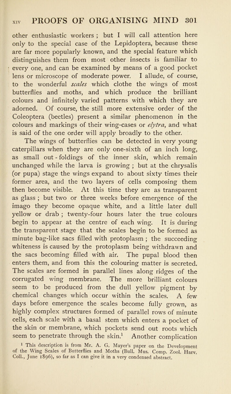 other enthusiastic workers ; but I will call attention here only to the special case of the Lepidoptera, because these are far more popularly known, and the special feature which distinguishes them from most other insects is familiar to ’ every one, and can be examined by means of a good pocket lens or microscope of moderate power. I allude, of course, to the wonderful scales which clothe the wings of most butterflies and moths, and which produce the brilliant colours and infinitely varied patterns with which they are adorned. Of course, the still more extensive order of the Coleoptera (beetles) present a similar phenomenon in the colours and markings of their wing-cases or elytra^ and what is said of the one order will apply broadly to the other. The wings of butterflies can be detected in very young caterpillars when they are only one-sixth of an inch long, as small out - foldings of the inner skin, which remain unchanged while the larva is growing ; but at the chrysalis (or pupa) stage the wings expand to about sixty times their former area, and the two layers of cells composing them then become visible. At this time they are as transparent as glass ; but two or three weeks before emergence of the imago they become opaque white, and a little later dull yellow or drab ; twenty-four hours later the true colours begin to appear at the centre of each wing. It is during the transparent stage that the scales begin to be formed as minute bag-like sacs filled with protoplasm ; the succeeding whiteness is caused by the protoplasm being withdrawn and the sacs becoming filled with air. The pupal blood then enters them, and from this the colouring matter is secreted. The scales are formed in parallel lines along ridges of the corrugated wing membrane. The more brilliant colours seem to be produced from the dull yellow pigment by chemical changes which occur within the scales. A few days before emergence the scales become fully grown, as highly complex structures formed of parallel rows of minute cells, each scale with a basal stem which enters a pocket of the skin or membrane, which pockets send out roots which seem to penetrate through the skin.^ Another complication 1 This description is from Mr. A. G. Mayer’s paper on the Development of the Wing Scales of Butterflies and Moths (Bull. Mus. Comp. Zool. Harv. Coll., June 1896), so far as I can give it in a very condensed abstract.