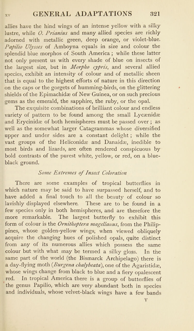 allies have the hind wings of an intense yellow with a silky lustre, while 0. Prianius and many allied species are richly adorned with metallic green, deep orange, or violet-blue. Papilio Ulysses of Amboyna equals in size and colour the splendid blue morphos of South America ; while these latter not only present us with every shade of blue on insects of the largest size, but in MorpJio cypris, and several allied species, exhibit an intensity of colour and of metallic sheen that is equal to the highest efforts of nature in this direction on the caps or the gorgets of humming-birds, on the glittering shields of the Epimachidae of New Guinea, or on such precious gems as the emerald, the sapphire, the ruby, or the opal. The exquisite combinations of brilliant colour and endless variety of pattern to be found among the small Lycaenidae and Erycinidae of both hemispheres must be passed over ; as well as the somewhat larger Catagrammas whose diversified upper and under sides are a constant delight ; while the vast groups of the Heliconidae and Danaidae, inedible to most birds and lizards, are often rendered conspicuous by bold contrasts of the purest white, yellow, or red, on a blue- black ground. Some Extremes of Insect Coloration There are some examples of tropical butterflies in which nature may be said to have surpassed herself, and to have added a final touch to all the beauty of colour so lavishly displayed elsewhere. These are to be found in a few species only in both hemispheres, and are therefore the more remarkable. The largest butterfly to exhibit this form of colour is the Ornitlioptera magellauus, from the Philip- pines, whose golden-yellow wings, when viewed obliquely acquire the changing hues of polished opals, quite distinct from any of its numerous allies which possess the same colour but with what may be termed a silky gloss. In the same part of the world (the Bismarck Archipelago) there is a day-flying moth {Burgena chalybeata), one of the Agaristidae, whose wings change from black to blue and a fiery opalescent red. In tropical America there is a group of butterflies of ’ the genus Papilio, which are very abundant both in species and individuals, whose velvet-black wings have a few bands