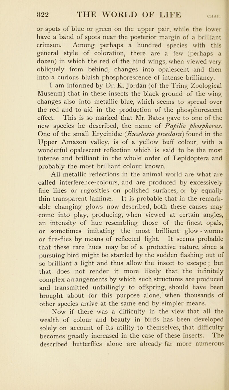CllAI’. or spots of blue or green on the upper pair, while the lower have a band of spots near the posterior margin of a brilliant crimson. Among perhaps a hundred species with this general style of coloration, there are a few (perhaps a dozen) in which the red of the hind wings, when viewed very obliquely from behind, changes into opalescent and then into a curious bluish phosphorescence of intense brilliancy. I am informed by Dr. K. Jordan (of the Tring Zoological Museum) that in these insects the black ground of the wing changes also into metallic blue, which seems to spread over the red and to aid in the production of the phosphorescent effect. This is so marked that Mr. Bates gave to one of the new species he described, the name of Papilio phosphorus. One of the small Erycinidae {Euselasia prceclard) found in the Upper Amazon valley, is of a yellow buff colour, with a wonderful opalescent reflection which is said to be the most intense and brilliant in the whole order of Lepidoptera and probably the most brilliant colour known. All metallic reflections in the animal world are what are called interference-colours, and are produced by excessively fine lines or rugosities on polished surfaces, or by equally thin transparent laminae. It is probable that in the remark- able changing glows now described, both these causes may come into play, producing, when viewed at certain angles, an intensity of hue resembling those of the finest opals, or sometimes imitating the most brilliant glow - worms or fire-flies by means of reflected light. It seems probable that these rare hues may be of a protective nature, since a pursuing bird might be startled by the sudden flashing out of so brilliant a light and thus allow the insect to escape ; but that does not render it more likely that the infinitely complex arrangements by which such structures are produced and transmitted unfailingly to offspring, should have been brought about for this purpose alone, when thousands of other species arrive at the same end by simpler means. Now if there was a difficultv in the view that all the 0 wealth of colour and beauty in birds has been developed solely on account of its utility to themselves, that difficulty becomes greatly increased in the case of these insects. The described butterflies alone are already far more numerous