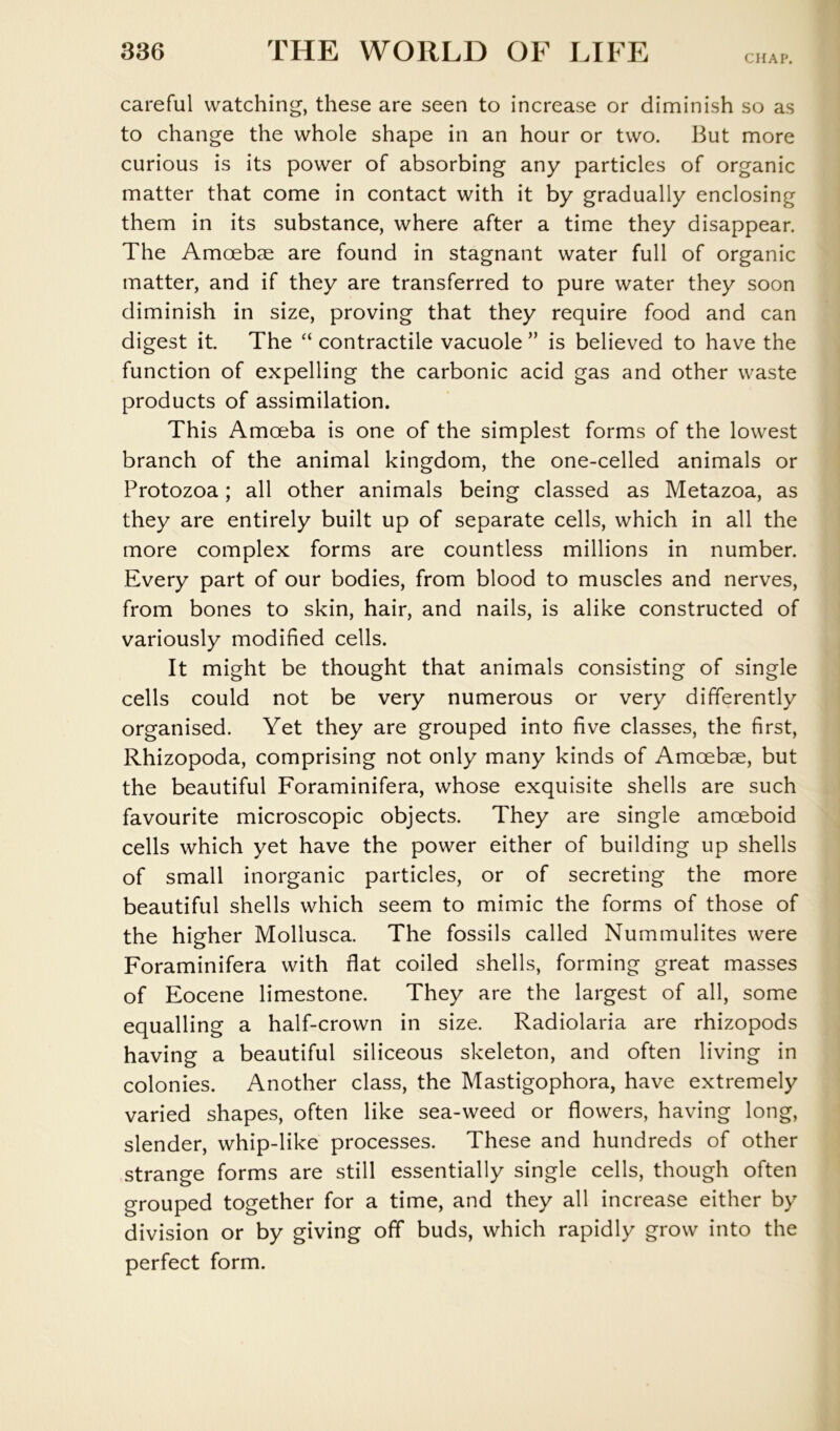 CHAP. careful watching, these are seen to increase or diminish so as to change the whole shape in an hour or two. But more curious is its power of absorbing any particles of organic matter that come in contact with it by gradually enclosing them in its substance, where after a time they disappear. The Amoebae are found in stagnant water full of organic matter, and if they are transferred to pure water they soon diminish in size, proving that they require food and can digest it. The “ contractile vacuole ” is believed to have the function of expelling the carbonic acid gas and other waste products of assimilation. This Amoeba is one of the simplest forms of the lowest branch of the animal kingdom, the one-celled animals or Protozoa; all other animals being classed as Metazoa, as they are entirely built up of separate cells, which in all the more complex forms are countless millions in number. Every part of our bodies, from blood to muscles and nerves, from bones to skin, hair, and nails, is alike constructed of variously modified cells. It might be thought that animals consisting of single cells could not be very numerous or very differently organised. Yet they are grouped into five classes, the first, Rhizopoda, comprising not only many kinds of Amcebae, but the beautiful Foraminifera, whose exquisite shells are such favourite microscopic objects. They are single amoeboid cells which yet have the power either of building up shells of small inorganic particles, or of secreting the more beautiful shells which seem to mimic the forms of those of the higher Mollusca. The fossils called Nummulites were Foraminifera with flat coiled shells, forming great masses of Eocene limestone. They are the largest of all, some equalling a half-crown in size. Radiolaria are rhizopods having a beautiful siliceous skeleton, and often living in colonies. Another class, the Mastigophora, have extremely varied shapes, often like sea-weed or flowers, having long, slender, whip-like processes. These and hundreds of other strange forms are still essentially single cells, though often grouped together for a time, and they all increase either by division or by giving off buds, which rapidly grow into the perfect form.