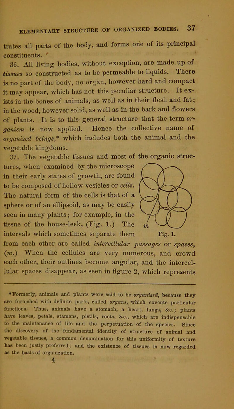 trates all parts of the body, and forms one of its piincipal constituents. ' 36. All living bodies, without exception, are made up of tissues so constructed as to be permeable to liquids. There is no part of the body, no organ, however hard and compact it may appear, which has not this peculiar structure. It ex- ists iu the bones of animals, as well as in their flesh and fat; in the wood, however solid, as well as in the bark and flowers of plants. It is to this general structure that the term or- ganism is now applied. Hence the collective name of organized beings* which includes both the animal and the vegetable kingdoms. 37. The vegetable tissues and most of the organic struc- tures, when examined by the microscope in their early states of growth, are found to be composed of hollow vesicles or cells. The natural form of the cells is that of a sphere or of an ellipsoid, as may be easily seen in many plants; for example, in the tissue of the house-leek, (Fig. 1.) The intervals which sometimes separate them Fig. 1. from each other are called intercellular passages or spaces, (m.) When the cellules are very numerous, and crowd each other, their outlines become angular, and the intercel- lular spaces disappear, as seen in figure 2, which represents ♦Formerly, animals and plants were said to be organized, because they are furnished with definite parts, called organs, which execute particular functions. Thus, animals have a stomach, a heart, lungs, &c.; plants have leaves, petals, stamens, pistils, roots, &c., which are indispensable to the maintenance of life and the perpetuation of the species. Since the discovery of the fundamental identity of structure of animal and vegetable tissues, a common denomination for this uniformity of texture has been justly preferred; and the existence of tissues is now regarded as the basis of organization. 4