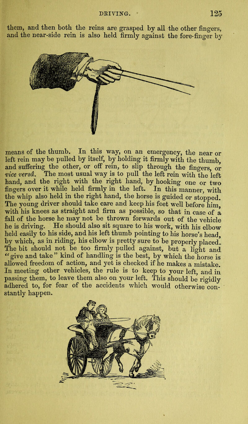 them, and then both the reins are grasped by all the other fingers, and the near-side rein is also held firmly against the fore-finger by means of the thumb. In this way, on an emergency, the near or left rein may be pulled by itself, by holding it firmly with the thumb, and suffering the other, or off rein, to slip through the fingers, or vice versa. The most usual way is to pull the left rein with the left hand, and the right with the right hand, by hooking one or two fingers over it while held firmly in the left. In this manner, with the whip also held in the right hand, the horse is guided or stopped. The young driver should take care and keep his feet well before him, with his knees as straight and firm as possible, so that in case of a fall of the horse he may not be thrown forwards out of the vehicle he is driving. He should also sit square to his work, with his elbow held easily to his side, and his left thumb pointing to his horse’s head, by which, as in riding, his elbow is pretty sure to be properly placed.. The bit should not be too firmly pulled against, but a light and “give and take” kind of handling is the best, by which the horse is allowed freedom of action, and yet is checked if he makes a mistake. In meeting other vehicles, the rule is to keep to your left, and in passing them, to leave them also on your left. This should be rigidly adhered to, for fear of the accidents which would otherwise con- stantly happen.