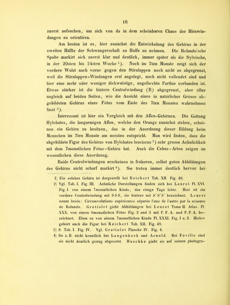 zuerst aufsuchen, um sich von da in dem scheinbaren Chaos der Hirnwin- dungen zu orientiren. Am besten ist es, hier zunächst die Entwickelung des Gehirns in der zweiten Hälfte der Schwangerschaft zu Hülfe zu nehmen. Die Rolando’sche Spalte markirt sich zuerst klar und deutlich, immer später als die Sylvische, in der 20sten bis 24sten Woche Noch im 7ten ölonate zeigt sich der vordere Wulst nach vorne gegen den Stirnlappen noch nicht so abgegrenzt, weil die Stirnlappen-Windungen erst angelegt, noch nicht vollendet sind und hier eine mehr oder weniger dick wulstige, ungefurchte Parthie vorhanden ist. Etwas stärker ist die hintere Central Windung (B} abgegrenzt, aber öfter ungleich auf beiden Seiten, wie die Ansicht eines in natürlicher Grösse ab- gebildeten Gehirns eines Fötus vom Ende des 7ten Monates wahrnehmen lässt 1 2 3). Interessant ist hier ein Vergleich mit den Alfen-Gehirnen. Die Gattung Hylobates, die langarmigen Affen, welche den Orangs zunächst stehen, schei- nen ein Gehirn zu besitzen, das in der Anordnung dieser Bildung beim Menschen im 7ten Monate am meisten entspricht. Man wird finden, dass die abgebildete Figur des Gehirns von Hylobates leuciscus sehr grosse Aehnlichkeit mit dem 7monatlichen Fötus-Gehirn hat. Auch die Cebus-Arten zeigen im wesentlichen diese Anordnung. Beide Centralwindungen erscheinen in früheren, selbst guten Abbildungen des Gehirns nicht scharf markirt4). Sie treten immer deutlich hervor bei 1) Ein solches Gehirn ist dargestellt bei Reichert Tab. XII. Fig. 48. 2) Vgl. Tab. I. Fig. III. Aehnliche Darstellungen finden sich bei Leuret PI. XVI. Fig. 1. von einem Tmonatlichen Kinde, das einige Tage lebte. Hier ist die vordere Centralwindung mit SSS, die hintere mit S'S'S' bezeichnet. Leuret nennt beide: Circumvolutions superieures söparöe l’une de l’autre par la scissure de Rolando. Gratiolet giebt Abbildungen bei Leuret Tomeil. Atlas. PI. XXX. von einem Ömonatlichen Fötus Fig. 2 und 3 mit P. F. A. und P. P. A. be- zeichnet. Eben so von einem 7monatlichen Kinde PI. XXXI. Fig. 1 u. 2. Hieher gehört auch die Figur bei Reichert Tab. XII. Fig. 49. 3) S. Tab. I. Fig. IV. Vgl. Gratiolet Planche IV. Fig. 4. 4) So z. B. nicht kenntlich bei Langenbeck und Arnold. Bei Foville sind sie nicht deutlich genug abgesetzt. Huschke giebt sie auf seinen photogra-