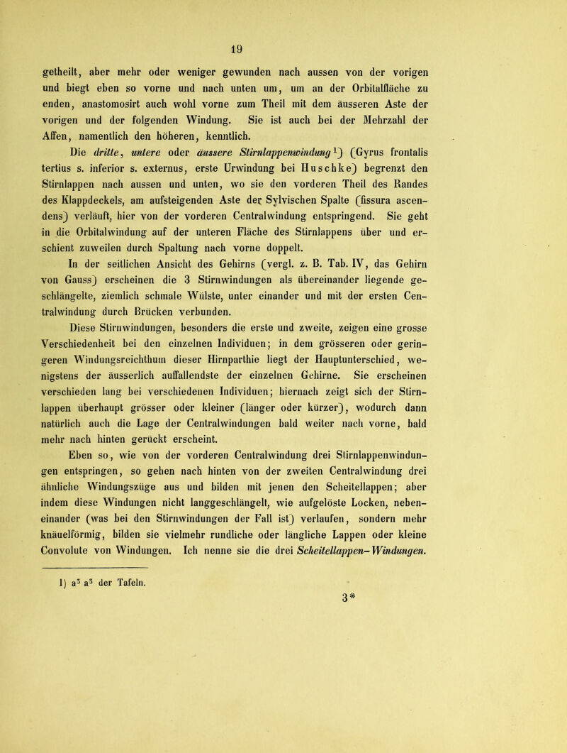 getheilt, aber mehr oder weniger gewunden nach aussen von der vorigen und biegt eben so vorne und nach unten um, um an der Orbitalfläche zu enden, anastomosirt auch wohl vorne zum Theil mit dem äusseren Aste der vorigen und der folgenden Windung. Sie ist auch bei der Mehrzahl der Alfen, namentlich den höheren, kenntlich. Die dritte, untere oder äussere StirnlappenwindungL) (Gyrus frontalis tertius s. inferior s. externus, erste Urwindung bei Huschke) begrenzt den Stirnlappen nach aussen und unten, wo sie den vorderen Theil des Randes des Klappdeckels, am aufsteigenden Aste dei; Sylvischen Spalte (fissura ascen- dens) verläuft, hier von der vorderen Centralwindung entspringend. Sie geht in die Orbitalwindung auf der unteren Fläche des Stirnlappens über und er- schient zuweilen durch Spaltung nach vorne doppelt. In der seitlichen Ansicht des Gehirns (vergl. z. B. Tab. IV, das Gehirn von Gauss) erscheinen die 3 Stirnwindungen als übereinander liegende ge- schlängelte, ziemlich schmale Wülste, unter einander und mit der ersten Cen- tralwindung durch Brücken verbunden. Diese Stirnwindungen, besonders die erste und zweite, zeigen eine grosse Verschiedenheit bei den einzelnen Individuen; in dem grösseren oder gerin- geren Windungsreichthum dieser Hirnparthie liegt der Hauptunterschied, we- nigstens der äusserlich auffallendste der einzelnen Gehirne. Sie erscheinen verschieden lang bei verschiedenen Individuen; hiernach zeigt sich der Stirn- lappen überhaupt grösser oder kleiner (länger oder kürzer), wodurch dann natürlich auch die Lage der Centralwindungen bald weiter nach vorne, bald mehr nach hinten gerückt erscheint. Eben so, wie von der vorderen Centralwindung drei Slirnlappenwindun- gen entspringen, so gehen nach hinten von der zweiten Centralwindung drei ähnliche Windungszüge aus und bilden mit jenen den Scheitellappen; aber indem diese Windungen nicht langgeschlängelt, wie aufgelöste Locken, neben- einander (was bei den Stirnwindungen der Fall ist) verlaufen, sondern mehr knäuelförmig, bilden sie vielmehr rundliche oder längliche Lappen oder kleine Convolute von Windungen. Ich nenne sie die drei Scheitellappen-Windungen. 1) a3 a3 der Tafeln. 3*