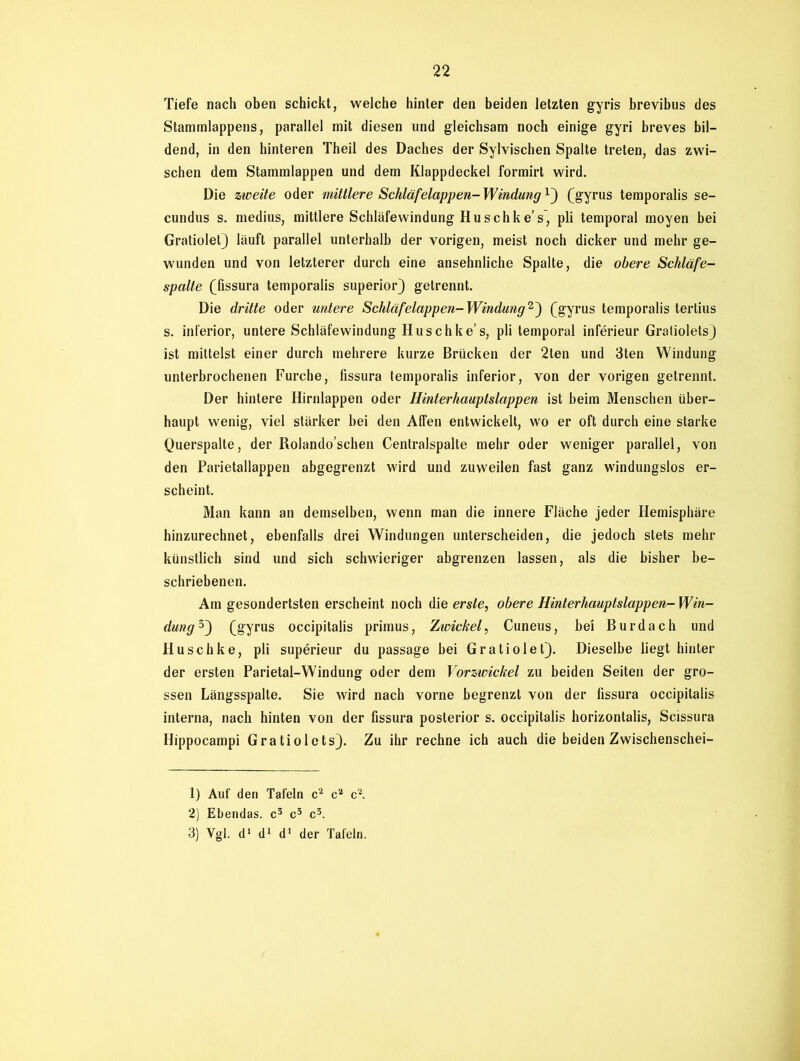 Tiefe nach oben schickt, welche hinter den beiden letzten gyris brevibus des Staminlappens, parallel mit diesen und gleichsam noch einige gyri breves bil- dend, in den hinteren Theil des Daches der Sylvischen Spalte treten, das zwi- schen dem Stammlappen und dem Klappdeckel formirt wird. Die zweite oder mittlere Schläfelappen- Windung1) (gyrus temporalis se- cundus s. medius, mittlere Schläfewindung Hu sch ke’s', pli temporal moyen bei Gratiolet) läuft parallel unterhalb der vorigen, meist noch dicker und mehr ge- wunden und von letzterer durch eine ansehnliche Spalte, die obere Schläfe- spalte (fissura temporalis superior) getrennt. Die dritte oder untere Schläfelappen-Windung2') (gyrus temporalis tertius s. inferior, untere Schläfewindung Husch ke’s, pli temporal inferieur Graliolets} ist mittelst einer durch mehrere kurze Brücken der 2ten und 3ten Windung unterbrochenen Furche, fissura temporalis inferior, von der vorigen getrennt. Der hintere Hirnlappen oder Hinterhauptslappen ist beim Menschen über- haupt wenig, viel stärker bei den Affen entwickelt, wo er oft durch eine starke Querspalte, der Rolando’schen Centralspalte mehr oder weniger parallel, von den Parietallappen abgegrenzt wird und zuweilen fast ganz windungslos er- scheint. Man kann an demselben, wenn man die innere Fläche jeder Hemisphäre hinzurechnet, ebenfalls drei Windungen unterscheiden, die jedoch stets mehr künstlich sind und sich schwieriger abgrenzen lassen, als die bisher be- schriebenen. Am gesondertsten erscheint noch die erste, obere Hinterhauptslappen- Win- dung 3) (gyrus occipitalis primus, Zwickel, Cuneus, bei Bur dach und Huschke, pli superieur du passage bei Gratiolet). Dieselbe liegt hinter der ersten Parietal-Windung oder dem Vorzwickel zu beiden Seiten der gro- ssen Längsspalte. Sie wird nach vorne begrenzt von der fissura occipitalis interna, nach hinten von der fissura posterior s. occipitalis horizontalis, Scissura Hippocampi Gratiolets). Zu ihr rechne ich auch die beiden Zwischenschei- 1) Auf den Tafeln c2 c2 c2. 2) Ebendas, c3 c3 c3. 3) Ygl. d1 d1 d1 der Tafeln.