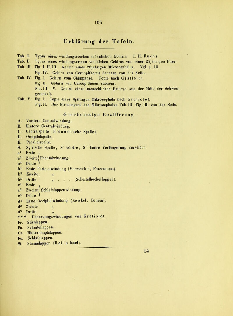 Erklärung- der Tafeln. Tab. I. Typus eines windungsreichen männlichen Gehirns. C. H. Fuchs. Tab. II. Typus eines windungsarmen weiblichen Gehirns von einer 29jährigen Frau. Tab. III. Fig. I, II, III. Gehirn eines 26jährigen Mikrocephalus. Vgl. p. 10. Fig. IV. Gehirn von Cercopithecus Sabaeus von der Seite. Tab. IV. Fig. I. Gehirn vom Chimpanse. Copie nach Gratiolet. Fig. II. Gehirn von Cercopithecus sabaeus. Fig. III — V. Gehirn eines menschlichen Embryo aus der Mitle der Schwan- gerschaft. Tab. V. Fig. I. Copie einer 4jährigen Mikrocephala nach Gratiolet. Fig. II. Der Hirnausguss des Mikrocephalus Tab. III. Fig. III. von der Seite. Gleichmässige Bezifferung. A. Vordere Centralwindung. B. Hintere Centralwindung. C. Centralspalte (Rol a n d o’sche Spalte). D. Occipitalspalte. E. Parallelspalte. S. Sylvische Spalte, S' vordre, S hintre Verlängerung derselben. al Erste i a2 Zweite [ Frontalwindung. a3 Dritte 1 b1 Erste Parietalwindung (Vorzwickel, Praecuneus). b2 Zweite „ b3 Dritte „ . . . (Scheitelhöckerlappen). c1 Erste , c2 Zweite) Schläfelappenwindung. c3 Dritte 1 d1 Erste Occipitalwindung (Zwickel, Cuneus). d2 Zweite „ d3 Dritte „ ##* Uebergangswindungen von Gratiolet. Fr. Stirnlappen. Pa. Scheitellappen. Oc. Hinterhauptslappen. Fe. Schläfelappen. St. Stammlappen (Reil’s Insel). 14