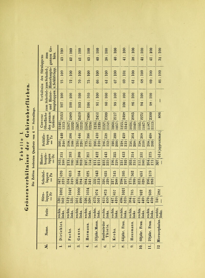 Grössen Verhältnisse der Gehirnoberflächen. Die Zahlen bedeuten Quadrate von 4 mnl Seitenlange. 1 © 1 0 O 0 0 0 0 O O 0 0 o 0 0 0 O 0 0 0 0 O O 0 0 — — —1 1—1 *—1 —< —* ® 3 C _ CU g jf“ bc Jt w ft r q a 0 0 0 0 0 0 0 .—4 0 0 O 0 0 0 0 0 0 0 0 0 0 0 O 0 *“l — 3— 1 1—1 ' _© -3 -c « s .= £ •3 nS3 3 :2 ® S? © 0 O 0 0 0 0 0 O 0 0 0 © ^ fl 2* > «53-37 5» JS 1 c'« 51 0 O 0 0 05 CD 05 O ao CD 05 1 —3 —1 N -33 © :CS C F N CM N cm <N <M (N <N CM CM N c 'S bc js .c ©« || 0^ 00 CD 10 — oo* CO (N 0 0 aofl' co ao OD 0 acTo X 0 O pS ■■ 0 -t- O 00 CM CM t- N O oo in 05 O N CO m 0 in — 0 0 TJ1 3< IN N 1—1 CM CM —1 Ol CM CM — <N N N —' OJ — N IN <N CU 0- co 05 <N co in CO , in i i fi O )C 05 00 10 04 m N io co t- JgcLgP CO co co co co O' co co co co sS § S* || 53 4S — CO GO co 0 co co O) -H CO 05 — <N co — -*■ 0 ■3P — ^ 1 CO GO «-* GO CD 0 05 lO OJ Oi os in CO 05 0 m »0 GO O t> 0 r~* fH CM r- —' (N «-H t—• N 0» Oi O) — —h 04 — 04 — —. •—( N —1 co 1 1 0 co lO co m m in <N 05 S s s in oo CM in 05 CO in CO co 10 CO co co m in in co m ! 8*11 t- co 3P 05 O -P <N co CD 05 t^acT ao t- JO 05 aTaö' co co 3p N CO — 0 00 00 ^ CO r-l IN N n ao 05 05 t- ao <N (N os ao cn CO CO co co CO <N CM CO co co CO CO N N (N N N N co co <N <N 0) t- 0 _ OS 3P 0 co 3f CO i> <N in CM GO 1 ? s- 0 0 0 0 t- IO O ao CM CO QO e 05 CD GO ,~, t- CD CD CM Sill O N N 10 floT cooT CO —1 co 0 f- O ao co -p — CO O 05 05 — CO CO -H co O 05 04 0 t 0 CM lO Tf *—H 05 <N ao 0 *> ^ in «2 | m »0 10 10 10 'Cf »0 10 P 10 ■3p in CO 'f r* ^ 0 t» xA xA xA i2 ■ xA Mi xA xn xA *© £ jg £ 2 ü -fl £ 2 0 -fl £ j» Q -A £ 2 0 *5 £ 2 0 ^ js 5« 2 «5 0 -x £ 2 0 £ 2 £ 2 CJ ^ £ 2 CO © .2 © © .g © .c CD .£ <D = 05 = fl © .£ « = fl © .£ U 5fl s- 50 u a: u. a: u a: U —1 4-5 s fc, fl s fl j§ 0 fl fl -0 ai cs c CS &_ cs s* cs © £ cs -C O -fl in fl 3 £ s u I- fl £ es S Cu Cu u -fl CU © a U O 3 Ul -fl •*3 a> -fl :CS 3 -fl © fl 05 cs H Q fe O H co QS M CO 33 § 05 CM a 'j • * <n CO | 10 CO i-- GD os' ö CM [ *-*