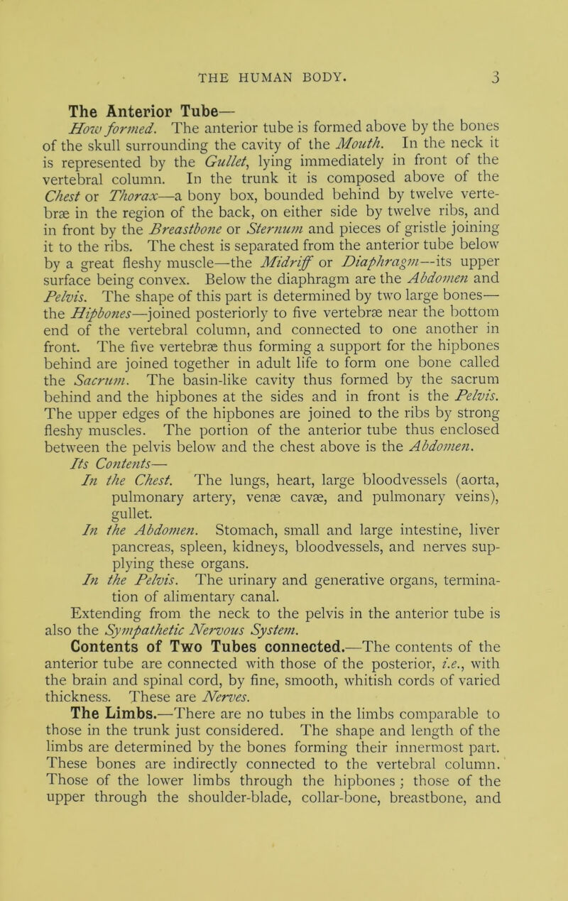 The Anterior Tube— How formed. The anterior tube is formed above by the bones of the skull surrounding the cavity of the Mouth. In the neck it is represented by the Gullet.^ lying immediately in front of the vertebral column. In the trunk it is composed above of the Chest or Thorax—a bony box, bounded behind by twelve verte- brae in the region of the back, on either side by twelve ribs, and in front by the Breastbone or Ster?m?n and pieces of gristle joining it to the ribs. The chest is separated from the anterior tube below by a great fleshy muscle—the Midriff or Diaphragm—its upper surface being convex. Below the diaphragm are the Abdomen and Pelvis. The shape of this part is determined by two large bones— the Hipbones—joined posteriorly to five vertebrae near the bottom end of the vertebral column, and connected to one another in front. The five vertebrae thus forming a support for the hipbones behind are joined together in adult life to form one bone called the Sacrum. The basin-like cavity thus formed by the sacrum behind and the hipbones at the sides and in front is the Pelvis. The upper edges of the hipbones are joined to the ribs by strong fleshy muscles. The portion of the anterior tube thus enclosed between the pelvis below and the chest above is the Abdomen. Its Contents— In the Chest. The lungs, heart, large bloodvessels (aorta, pulmonary artery, venae cavae, and pulmonary veins), gullet. In the Abdomen. Stomach, small and large intestine, liver pancreas, spleen, kidneys, bloodvessels, and nerves sup- plying these organs. In the Pelvis. The urinary and generative organs, termina- tion of alimentary canal. Extending from the neck to the pelvis in the anterior tube is also the Sympathetic Nervous System. Contents of Two Tubes connected.—The contents of the anterior tube are connected with those of the posterior, with the brain and spinal cord, by fine, smooth, whitish cords of varied thickness. These are Nerr>es. The Limbs.—There are no tubes in the limbs comparable to those in the trunk just considered. The shape and length of the limbs are determined by the bones forming their innermost part. These bones are indirectly connected to the vertebral column. Those of the lower limbs through the hipbones ; those of the upper through the shoulder-blade, collar-bone, breastbone, and