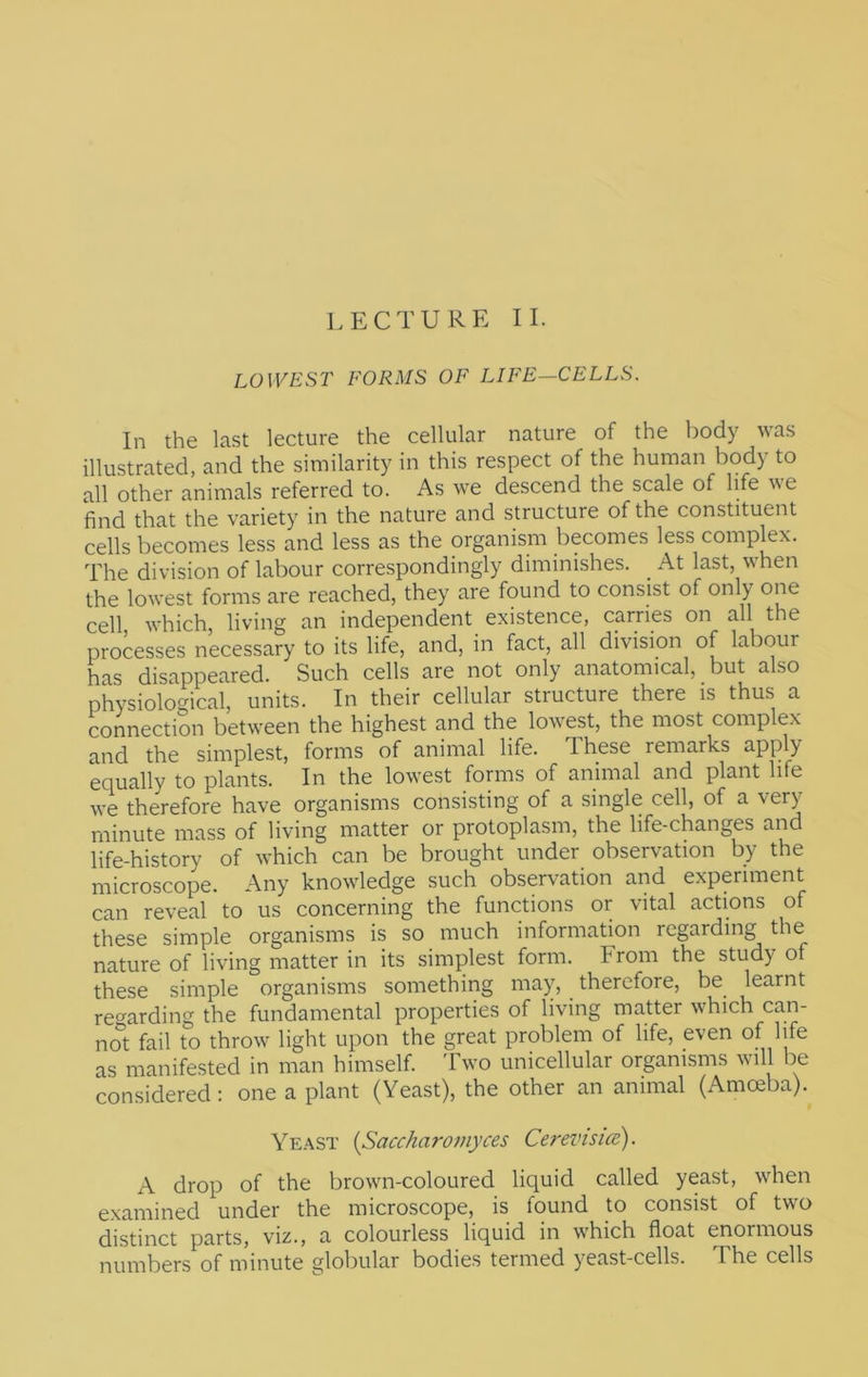 LOWEST FORMS OF LIFE—CELLS. In the last lecture the cellular nature of the Itody was illustrated, and the similarity in this respect of the human body to all other animals referred to. As we descend the scale of life we find that the variety in the nature and structure of the constituent cells becomes less and less as the organism becomes less complex. The division of labour correspondingly diminishes. _ At last, when the lowest forms are reached, they are found to consist of only one cell which, living an independent existence, carries on all the processes necessary to its life, and, in fact, all division of labour has disappeared. Such cells are not only anatomical, but also physiological, units. In their cellular structure there is thus a connection between the highest and the lowest, the most complex and the simplest, forms of animal life. These remarks apply equally to plants. In the lowest forms of animal and plant life we therefore have organisms consisting of a single cell, of a very minute mass of living matter or protoplasm, the life-changes and life-history of which can be brought under observation by the microscope. Any knowledge such observation and experiment can reveal to us concerning the functions or vital actions of these simple organisms is so much information regarding the nature of living matter in its simplest form. From the study of these simple organisms something may, therefore, be learnt regarding the fundamental properties of living matter which can- not fail to throw light upon the great problem of life, even of life as manifested in man himself. Two unicellular organisms will be considered: one a plant (Yeast), the other an animal (Amoeba). Ye.vst (Saccharomyces Cerevtsue). A drop of the brown-coloured liquid called yeast, when examined under the microscope, is found to consist of two distinct parts, viz., a colourless liquid in which float enormous numbers of minute globular bodies termed yeast-cells. The cells