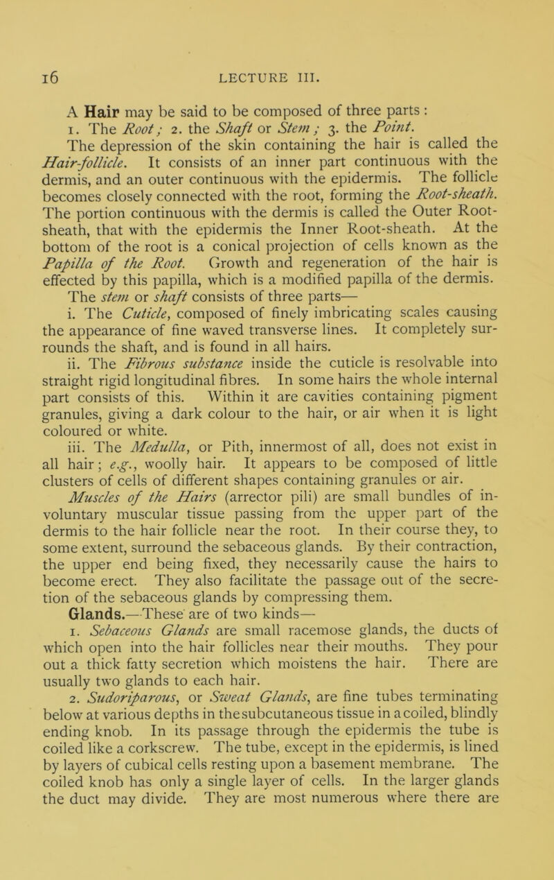 A Hair may be said to be composed of three parts ; I. The Root; 2. the Shaft or Stem ; 3. the Point. The depression of the skin containing the hair is called the Hairfollicle. It consists of an inner part continuous with the dermis, and an outer continuous with the epidermis. The follicle becomes closely connected with the root, forming the Root-sheath. The portion continuous with the dermis is called the Outer Root- sheath, that with the epidermis the Inner Root-sheath. At the bottom of the root is a conical projection of cells known as the Papilla of the Root. Growth and regeneration of the hair is effected by this papilla, which is a modified papilla of the dermis. The stem or shaft consists of three parts— i. The Cuticle, composed of finely imbricating scales causing the appearance of fine waved transverse lines. It completely sur- rounds the shaft, and is found in all hairs. ii. The Fibrous substance inside the cuticle is resolvable into straight rigid longitudinal fibres. In some hairs the whole internal part consists of this. Within it are cavities containing pigment granules, giving a dark colour to the hair, or air when it is light coloured or white. iii. The Medulla, or Pith, innermost of all, does not exist in all hair; e.g., woolly hair. It appears to be composed of little clusters of cells of different shapes containing granules or air. Muscles of the Hairs (arrector pili) are small bundles of in- voluntary muscular tissue passing from the upper part of the dermis to the hair follicle near the root. In their course they, to some extent, surround the sebaceous glands. By their contraction, the upper end being fixed, they necessarily cause the hairs to become erect. They also facilitate the passage out of the secre- tion of the sebaceous glands by compressing them. Glands.— These are of two kinds— 1. Sebaceous Glands are small racemose glands, the ducts of which open into the hair follicles near their mouths. They pour out a thick fatty secretion which moistens the hair. There are usually two glands to each hair. 2. Sudoriparous, or Sweat Glands, are fine tubes terminating below at various depths in the subcutaneous tissue in a coiled, blindly ending knob. In its passage through the epidermis the tube is coiled like a corkscrew. The tube, except in the epidermis, is lined by layers of cubical cells resting upon a basement membrane. The coiled knob has only a single layer of cells. In the larger glands the duct may divide. They are most numerous where there are