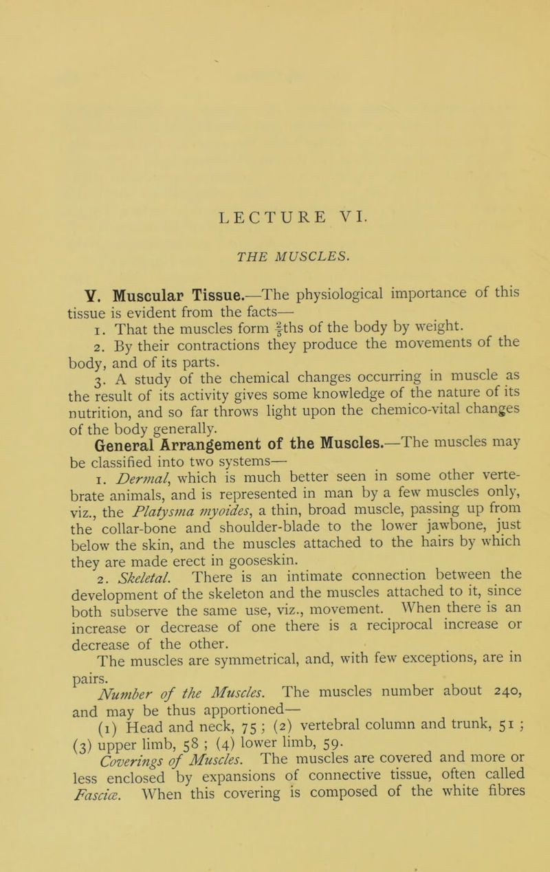 THE MUSCLES. Y. Muscular Tissue.—The physiological importance of this tissue is evident from the facts— 1. That the muscles form fths of the body by weight. 2. By their contractions they produce the movements of the body, and of its parts. 3. A study of the chemical changes occurring in muscle as the result of its activity gives some knowledge of the nature of its nutrition, and so far throws light upon the chemico-vital changes of the body generally. General Arrangement of the Muscles.—The muscles may be classified into two systems— 1. Derjnal, which is much better seen in some other verte- brate animals, and is represented in man by a few muscles only, viz., the Flatysjna my aides, a thin, broad muscle, passing up from the collar-bone and shoulder-blade to the lower jawbone, just below the skin, and the muscles attached to the hairs by which they are made erect in gooseskin. 2. Skeletal. There is an intimate connection between the development of the skeleton and the muscles attached to it, since both subserve the same use, viz., movement. When there is an increase or decrease of one there is a reciprocal increase or decrease of the other. The muscles are symmetrical, and, with few exceptions, are in pairs. Number of the Muscles. The muscles number about 240, and may be thus apportioned— (1) Head and neck, 75 ; (2) vertebral column and trunk, 51 ; (3) upper limb, 58 ; (4) lower limb, 59. Coverings of Muscles. The muscles are covered and more or less enclosed by expansions of connective tissue, often called Fascice. When this covering is composed of the white fibres