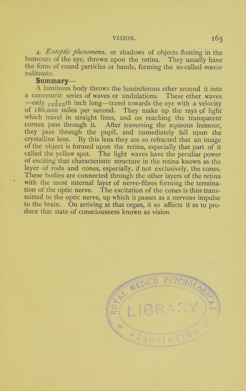 4. Entoptic phenomena, or shadows of objects floating in the humours of the eye, thrown upon the retina. They usually have the form of round particles or bands, forming the so-called muscce volitantes. Summary— A luminous body throws the luminiferous ether around it into a concentric series of waves or undulations. These ether waves —only inch long—travel towards the eye with a velocity of 186,000 miles per second. They make up the rays of light which travel in straight lines, and on reaching the transparent cornea pass through it. After traversing the aqueous humour, they pass through the pupil, and immediately fall upon the crystalline lens. By this lens they are so refracted that an image of the object is formed upon the retina, especially that part of it called the yellow spot. The light waves have the peculiar power of exciting that characteristic structure in the retina known as the layer of rods and cones, especially, if not exclusively, the cones. These bodies are connected through the other layers of the retina with the most internal layer of nerve-fibres forming the termina- tion of the optic nerve. The excitation of the cones is thus trans- mitted to the optic nerve, up which it passes as a nervous impulse to the brain. On arriving at that organ, it so affects it as to pro- duce that state of consciousness known as vision.