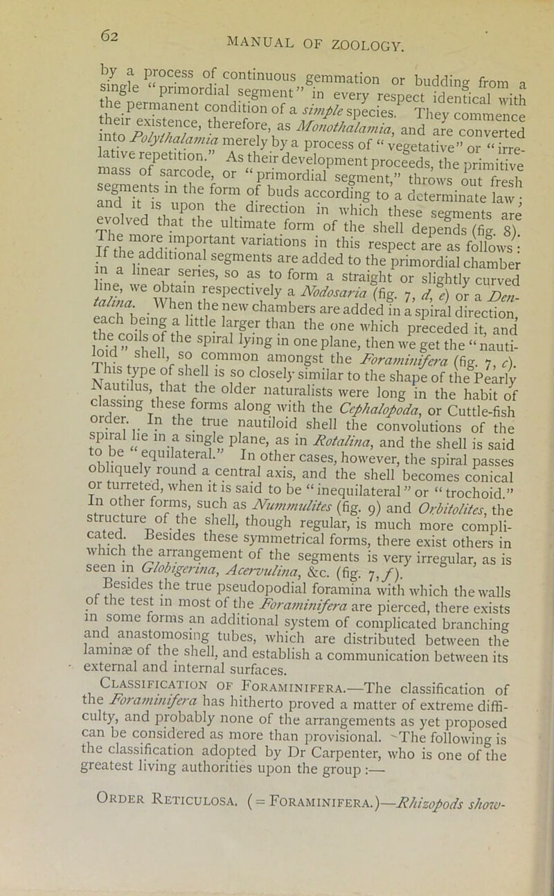 manual of zoology. by a process of continuous gemmation or budding from » mg e primordial segment” in every respect identical with ie permanent condition of a simple species. They commence ^-s*nce, therefore, as Monothalamia, and are coTerted into Polylhalamia merely by a process of “ vegetative” or “ irre- at've repetition. As their development proceeds the nrimitive mass of sarcode, or “ primordial segment,” throws out fresh S'1*'1' ^ fr ? bds a“OTd'S >°* determine Z; and it is upon the direction in which these segments are evolved that the ultimate form of the shell depends (fig. 8) The more important variations in this respect are as follows • in a linenr ra SCgmentS ar/ added to the primordial chamber in a linear senes, so as to form a straight or slightly curved Zma '6 When theSPeCtlVhly f Nodosaria 7, d,% or a Den- talma When the new chambers are added in a spiral direction each being a little larger than the one which preceded it and loid ”°sh °H thC SP’ral ly,ng m °ne plane>then we &et the “ nauti- loid shell so common amongst the Foraminifera (fig. 7, A NmVf136 nf Sf ie, 1S f? closel>’ similar to the shape of the Pearly IS autilus, that the older naturalists were long in the habit of classing these forms along with the Cephalopoda, or Cuttle-fish Qrder In the true nautiloid shell the convolutions of the K „ ln a singJe plane, as in Rotalina, and the shell is said lhlinnPieqU’ a JaL In ,°ther cases’ however, the spiral passes • fe y 10ujld a central axis, and the shell becomes conical 01 turreted, when it is said to be “ inequilateral ” or “ trochoid.” n other forms, such as Nunwndites (fig. 9) and Orbitolites, the structure of the shell, though regular, is much more compli- cated. Besides these symmetrical forms, there exist others in which the arrangement of the segments is very irregular, as is seen in Globigenna, Acervulina, &c. (fig. 7,/). Besides the true pseudopodial foramina with which the walls of the test in most ot the Foraminifera are pierced, there exists m some forms an additional system of complicated branching and anastomosing tubes, which are distributed between the laminae of the shell, and establish a communication between its external and internal surfaces. Classification of Foraminifera.—The classification of the Foraminifera has hitherto proved a matter of extreme diffi- culty, and probably none of the arrangements as yet proposed can be considered as more than provisional. 'The following is the classification adopted by Dr Carpenter, who is one of the greatest living authorities upon the group :— Order Reticulosa. ( = Foraminifera.)—Rhizopods sho?v-