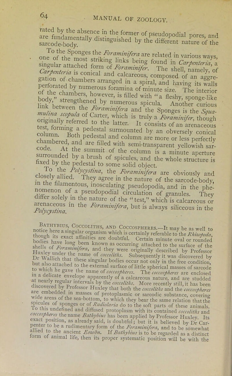sin&uiar attached form of Foraminifer. The shell namelv of zztZn nf'T T Ca' a'’d Calcareo“s- imposed of an tLe- SSated bvn,mS arra?ged m 3 Spira1' a,,d i,avme «s falls of ^ H ^ num1erous Gramma of minute size. The interior J,1 l cIlambers, however, is filled with “a fleshy, sponge-like hn^betTeTn1!,?^ by nn™ewus sPicula- Another curious ink between the Forammifera and the Sponges is the Sana onJ\Z\)COj>U/a Cartf ’ which is truly a Foraminifer, though tesf formingeIred i° latter- Jt consists of an arenaceous column TorJ * SU™°Vnted bf an obversely conical • °th pedestal and column are more or less nerfectlv champed and are filled with senrkransparem ydlo^sS suiToundpd l Svmnf rf the column 1S a minute aperture fixed v il l n7 f If °f SpiCUl6S’ and the whole structure ^ tixed by the pedestal to some solid object. closed lutf0ly-riSiina’ ^ FoPlminifera are obviously and S rifiyfii d' They agree in the nature of the sarcode-body, non pnn amrn 0US’ ln°sculating pseudopodia, and in the phe- omenon of a pseudopodial circulation of granules. They differ solely in the nature of the “test,” which is calcareous or Fo/jrysFm ^ Foraminifem> but is always siliceous in the nr,r AT,HYBIUS» Coccoliths, AND Coccospheres.—It may be as well to though -tse exacfaffi °^anism hich is certainly referable to the Rkizofioda, borlifs have In™ f ^ arC doubtfuL Certain minute oval or rounded she of ForoZf Y T, aS °CCUrnnS attached to the surface of the Suiey mule?Z /era’ the?. 7ere originally described by Professor d S| i C‘ °f c°cco‘lt{F Subsequently it was discovered by but k Tv slngular bodies occur not only in the free condition, to which hr r'a vi n he ” ;a SU1'faCe oflittle spherical masses of sarcode in a delieatffgc it le name of Coccospheres. The coccospheres are enclosed in a delicate envelope apparently of a calcareous nature, and are studded y [e,gU fr 1?terva,s by the coccoliths. More recently still, it has been are emhprl H Pl'ofessor Huxley that both the coccoliths and the coccospheres ‘ , c ed ln masses of protoplasmic or sarcodic substance, covering wide areas of the sea-bottom, to which they bear the same relation that the p cutes of sponges or of Radiolaria do to the soft parts of these animals, f undefined and diffused protoplasm with its contained coccoliths and coccospheres the name Bathybius has been applied by Professor Huxley Its exact position, as already said, is doubtful; but it is believed by Dr Car- omiTi .i a nic!'mentary form of the Foraminifera, and to be somewhat fm-rn f° the a,nr'rnt pozo?n- If Bathybius is to be regarded as a distinct ioim ot animal life, then its proper systematic position will be with the