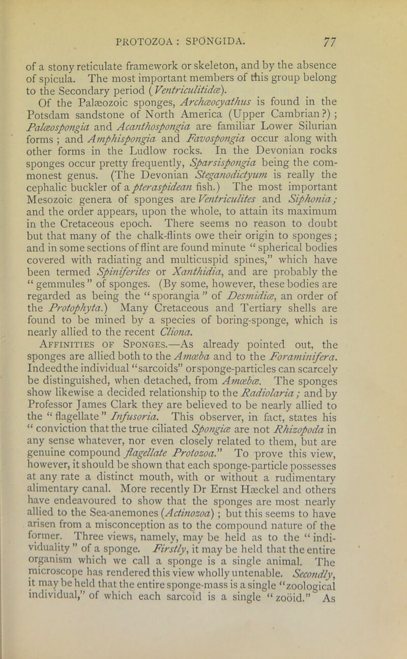 of a stony reticulate framework or skeleton, and by the absence of spicula. The most important members of this group belong to the Secondary period ( Ventriculitidce). Of the Palaeozoic sponges, Archaocyathus is found in the Potsdam sandstone of North America (Upper Cambrian?); Palceospongia and Acanthospongia are familiar Lower Silurian forms ; and Amphispongia and Favospongia occur along with other forms in the Ludlow rocks. In the Devonian rocks sponges occur pretty frequently, Sparsispongia being the com- monest genus. (The Devonian Steganodictyum is really the cephalic buckler of apteraspidean fish.) The most important Mesozoic genera of sponges are Ventriculites and Siphonia; and the order appears, upon the whole, to attain its maximum in the Cretaceous epoch. There seems no reason to doubt but that many of the chalk-flints owe their origin to sponges; and in some sections of flint are found minute “ spherical bodies covered with radiating and multicuspid spines,” which have been termed Spiniferites or Xanthidia, and are probably the “ gemmules ” of sponges. (By some, however, these bodies are regarded as being the “ sporangia ” of Desmidice, an order of the Protophyta.) Many Cretaceous and Tertiary shells are found to be mined by a species of boring-sponge, which is nearly allied to the recent Cliona. Affinities of Sponges.—As already pointed out, the sponges are allied both to the Amoeba and to the Foraminifera. Indeed the individual “sarcoids” or sponge-particles can scarcely be distinguished, when detached, from Amoebce. The sponges show likewise a decided relationship to the Radiolaria ; and by Professor James Clark they are believed to be nearly allied to the “ flagellate ” Infusoria. This observer, in fact, states his “ conviction that the true ciliated Spongiee are not Rhizopoda in any sense whatever, nor even closely related to them, but are genuine compound flagellate Protozoa. To prove this view, however, it should be shown that each sponge-particle possesses at any rate a distinct mouth, with or without a rudimentary alimentary canal. More recently Dr Ernst Haeckel and others have endeavoured to show that the sponges are most nearly allied to the Sea-anemones (Actinozoa) ; but this seems to have arisen from a misconception as to the compound nature of the former. Three views, namely, may be held as to the “ indi- viduality ” of a sponge. Firstly, it may be held that the entire organism which we call a sponge is a single animal. The microscope has rendered this view wholly untenable. Secondly, it may be held that the entire sponge-mass is a single “zoological individual,” of which each sarcoid is a single “ zooid.” As