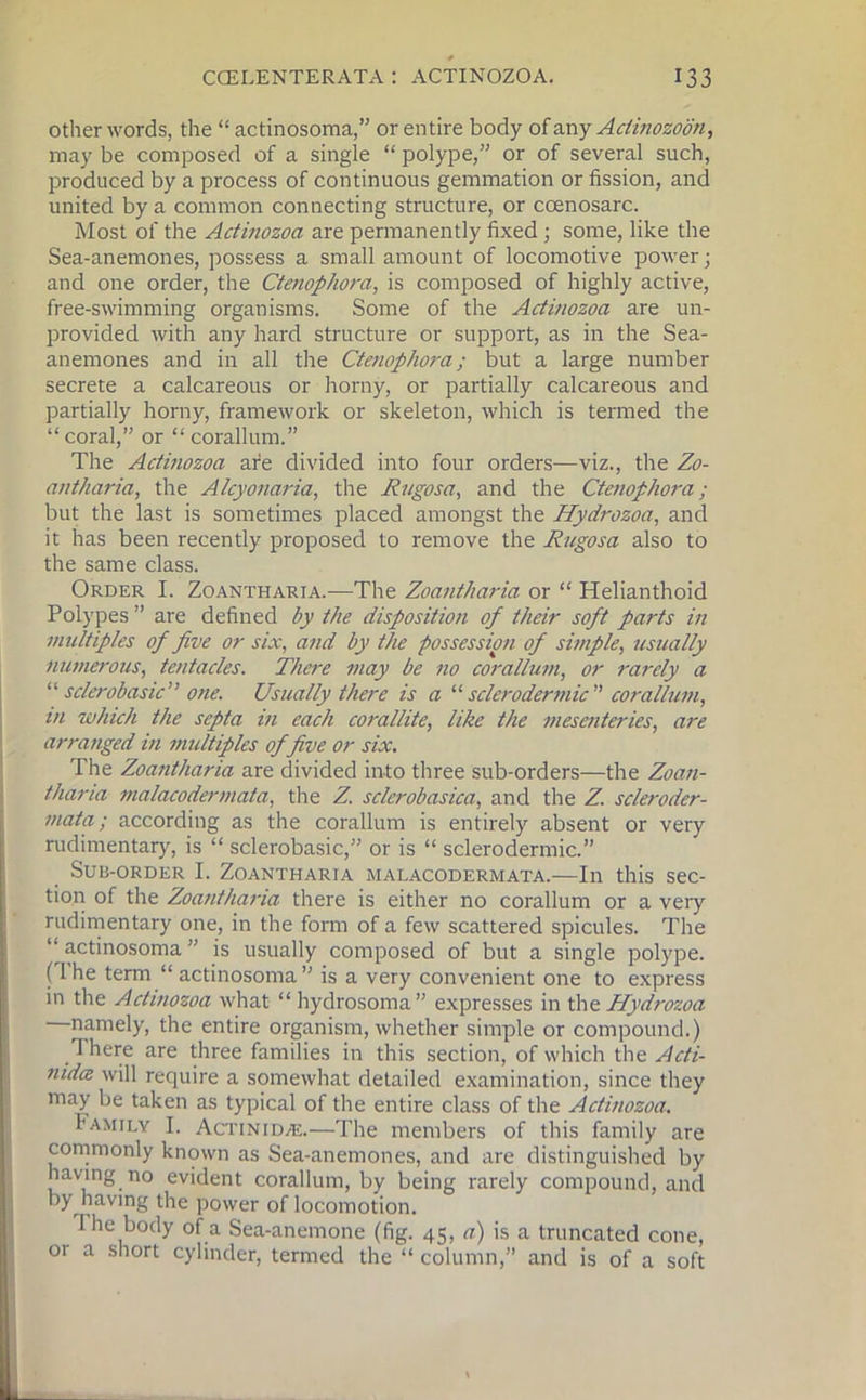 other words, the “ actinosoma,” or entire body of any Aciinozoon, may be composed of a single “ polype,” or of several such, produced by a process of continuous gemmation or fission, and united by a common connecting structure, or coenosarc. Most of the Actinozoa are permanently fixed; some, like the Sea-anemones, possess a small amount of locomotive power; and one order, the Ctenophora, is composed of highly active, free-swimming organisms. Some of the Actinozoa are un- provided with any hard structure or support, as in the Sea- anemones and in all the Ctenophora; but a large number secrete a calcareous or horny, or partially calcareous and partially horny, framework or skeleton, which is termed the “ coral,” or “ corallum.” The Actinozoa are divided into four orders—viz., the Zo- antharia, the Alcyonaria, the Rugosa, and the Ctenophora; but the last is sometimes placed amongst the Hydrozoa, and it has been recently proposed to remove the Rngosa also to the same class. Order I. Zoantharia.—The Zoantharia or “ Helianthoid Polypes ” are defined by the disposition of their soft parts in multiples of five or six, and by the possession of simple, usually numerous, tentacles. There may be no corallum, or rarely a “ sclerobasic” one. Usually there is a “ sclerodermic ” corallum, tn which the septa in each corallite, like the mesenteries, are arranged in multiples of five or six. The Zoantharia are divided into three sub-orders—the Zoan- tharia malacodermata, the Z. sclcrobasica, and the Z. scleroder- mata; according as the corallum is entirely absent or very rudimentary, is “ sclerobasic,” or is “ sclerodermic.” Sub-order I. Zoantharia malacodermata.—In this sec- tion of the Zoantharia there is either no corallum or a very rudimentary one, in the form of a few scattered spicules. The “actinosoma” is usually composed of but a single polype. (1 he term “ actinosoma ” is a very convenient one to express in the Actinozoa what “ hydrosoma” expresses in the Hydrozoa namely, the entire organism, whether simple or compound.) There are three families in this section, of which the Acti- nidce will require a somewhat detailed examination, since they may be taken as typical of the entire class of the Actinozoa. Family I. Actinid/E.—The members of this family are commonly known as Sea-anemones, and are distinguished by having no evident corallum, by being rarely compound, and by having the power of locomotion. The body of a Sea-anemone (fig. 45, a) is a truncated cone, or a short cylinder, termed the “ column,” and is of a soft