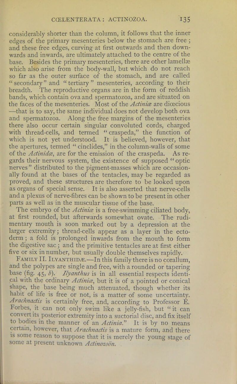 considerably shorter than the column, it follows that the inner edges of the primary mesenteries below the stomach are free ; and these free edges, curving at first outwards and then down- wards and inwards, are ultimately attached to the centre of the base. Besides the primaiy mesenteries, there are other lamellae which also arise from the body-wall, but which do not reach so far as the outer surface of the stomach, and are called “ secondary ” and “ tertiary ” mesenteries, according to their breadth. The reproductive organs are in the form of reddish bands, which contain ova and spermatozoa, and are situated on the faces of the mesenteries. Most of the Actinia are dioecious —that is to say, the same individual does not develop both ova and spermatozoa. Along the free margins of the mesenteries there also occur certain singular convoluted cords, charged with thread-cells, and termed “ craspeda,” the function of which is not yet understood. It is believed, however, that the apertures, termed “ cinclides,” in the column-walls of some of the Actinida, are for the emission of the craspeda. As re- gards their nervous system, the existence of supposed “ optic nerves ” distributed to the pigment-masses which are occasion- ally found at the bases of the tentacles, may be regarded as proved, and these structures are therefore to be looked upon as organs of special sense. It is also asserted that nerve-cells and a plexus of nerve-fibres can be shown to be present in other parts as well as in the muscular tissue of the base. The embryo of the Actinia is a free-swimming ciliated body, at first rounded, but afterwards somewhat ovate. The rudi- mentary mouth is soon marked out by a depression at the larger extremity; thread-cells appear as a layer in the ecto- derm ; a fold is prolonged inwards from the mouth to form the digestive sac; and the primitive tentacles are at first either five or six in number, but usually double themselves rapidly. Family II. Ilyanthidje.—In this family there is no corallum, and the polypes are single and free, with a rounded or tapering base (fig. 45, b). Ilyanthus is in all essential respects identi- cal with the ordinary Actinia, but it is of a pointed or conical shape, the base being much attenuated, though whether its habit of life is free or not, is a matter of some uncertainty. Arachnactis is certainly free, and, according to Professor E. Forbes, it can not only swim like a jelly-fish, but “it can convert its posterior extremity into a suctorial disc, and fix itself to bodies in the manner of an Actinia. It is by no means certain, however, that Arachnactis is a mature form, and there is some reason to suppose that it is merely the young stage of some at present unknown Actbwzoon.