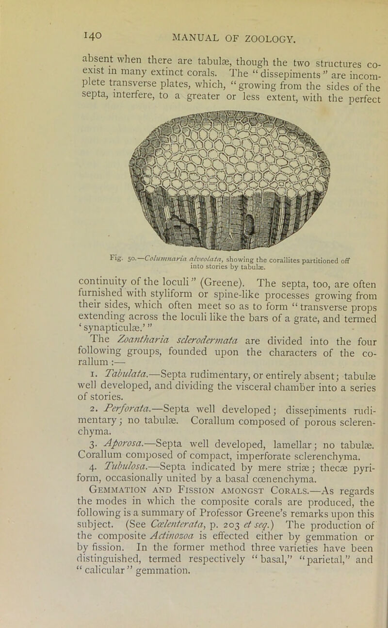 absent when there are tabulae, though the two structures co- exist in many extinct corals. The “ dissepiments ” are incom- plete transverse plates, which, “growing from the sides of the septa, interfere, to a greater or less extent, with the perfect Fig. 50.—Columnaria alveolata, showing the corailites partitioned off into stories by tabulae. continuity of the loculi ” (Greene). The septa, too, are often furnished with styliform or spine-like processes growing from their sides, which often meet so as to form “ transverse props extending across the loculi like the bars of a grate, and termed ‘ synapticulae.’ ” The Zoantharia sclerodei-mctta are divided into the four following groups, founded upon the characters of the co- rallum :— 1. Tabulata.—Septa rudimentary, or entirely absent; tabulae well developed, and dividing the visceral chamber into a series of stories. 2. Peifoi'ata.—Septa well developed; dissepiments rudi- mentary ; no tabulae. Corallum composed of porous scleren- chyma. 3. Aporosa.—Septa well developed, lamellar; no tabulae. Corallum composed of compact, imperforate sclerenchyma. 4. Tubulosa.—Septa indicated by mere striae; thecae pyri- form, occasionally united by a basal ccenenchyma. Gemmation and Fission amongst Corals.—As regards the modes in which the composite corals are produced, the following is a summary of Professor Greene’s remarks upon this subject. (See Ccric/itcrata, p. 203 ct scq.) The production of the composite Adinozoa is effected either by gemmation or by fission. In the former method three varieties have been distinguished, termed respectively “basal,” “parietal,” and “ calicular ” gemmation.