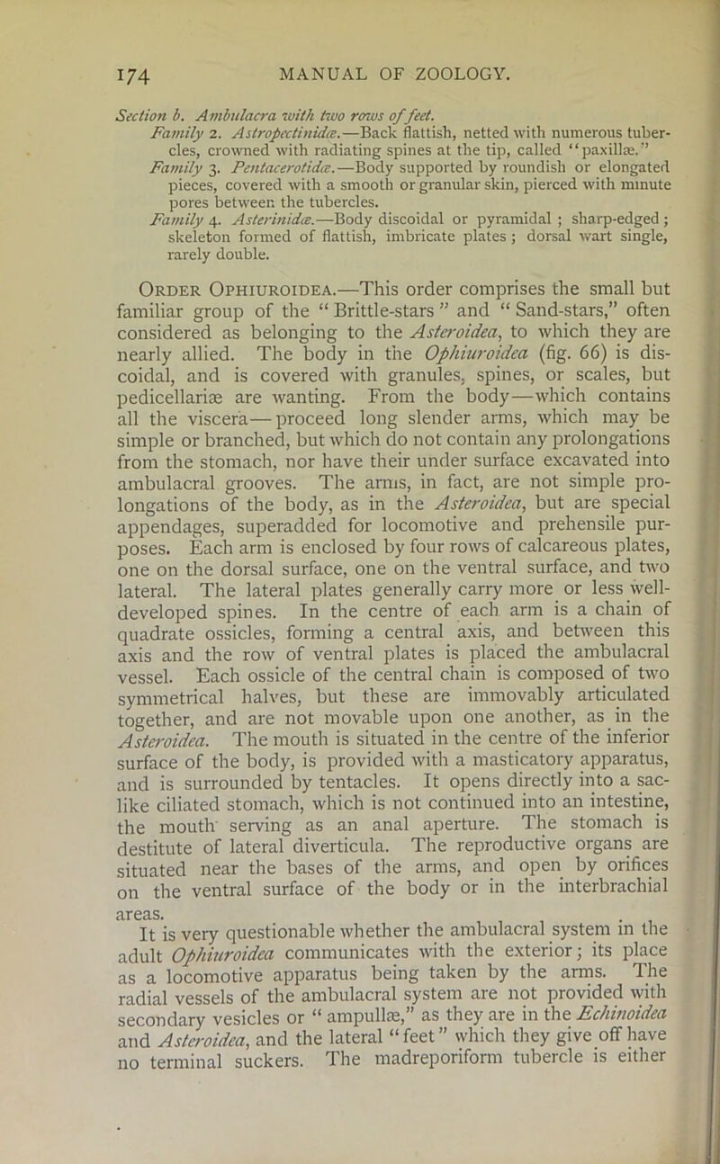 Section b. Ambulacra with two rows of feet. Family 2. Astropcctinidce.—Back flattish, netted with numerous tuber- cles, crowned with radiating spines at the tip, called “paxillae.” Family 3. Pentacerotidce.—Body supported by roundish or elongated pieces, covered with a smooth or granular skin, pierced with minute pores between the tubercles. Family 4. Asterinidce.—Body discoidal or pyramidal ; sharp-edged ; skeleton formed of flattish, imbricate plates; dorsal wart single, rarely double. Order Ophiuroidea.—This order comprises the small but familiar group of the “ Brittle-stars ” and “ Sand-stars,” often considered as belonging to the Asteroidea, to which they are nearly allied. The body in the Ophiuroidea (fig. 66) is dis- coidal, and is covered with granules, spines, or scales, but pedicellariae are wanting. From the body—which contains all the viscera—proceed long slender arms, which may be simple or branched, but which do not contain any prolongations from the stomach, nor have their under surface excavated into ambulacral grooves. The arms, in fact, are not simple pro- longations of the body, as in the Asteroidea, but are special appendages, superadded for locomotive and prehensile pur- poses. Each arm is enclosed by four rows of calcareous plates, one on the dorsal surface, one on the ventral surface, and two lateral. The lateral plates generally carry more or less well- developed spines. In the centre of each arm is a chain of quadrate ossicles, forming a central axis, and between this axis and the row of ventral plates is placed the ambulacral vessel. Each ossicle of the central chain is composed of two symmetrical halves, but these are immovably articulated together, and are not movable upon one another, as in the Asteroidea. The mouth is situated in the centre of the inferior surface of the body, is provided with a masticatory apparatus, and is surrounded by tentacles. It opens directly into a sac- like ciliated stomach, which is not continued into an intestine, the mouth serving as an anal aperture. The stomach is destitute of lateral diverticula. The reproductive organs are situated near the bases of the arms, and open by orifices on the ventral surface of the body or in the interbrachial areas. It is very questionable whether the ambulacral system in the adult Ophiuroidea communicates with the exterior; its place as a locomotive apparatus being taken by the arms. The radial vessels of the ambulacral system are not provided with secondary vesicles or “ ampullae,” as they are in the Echinoidea and Asteroidea, and the lateral “feet” which they give off have no terminal suckers. The madreporiform tubercle is either