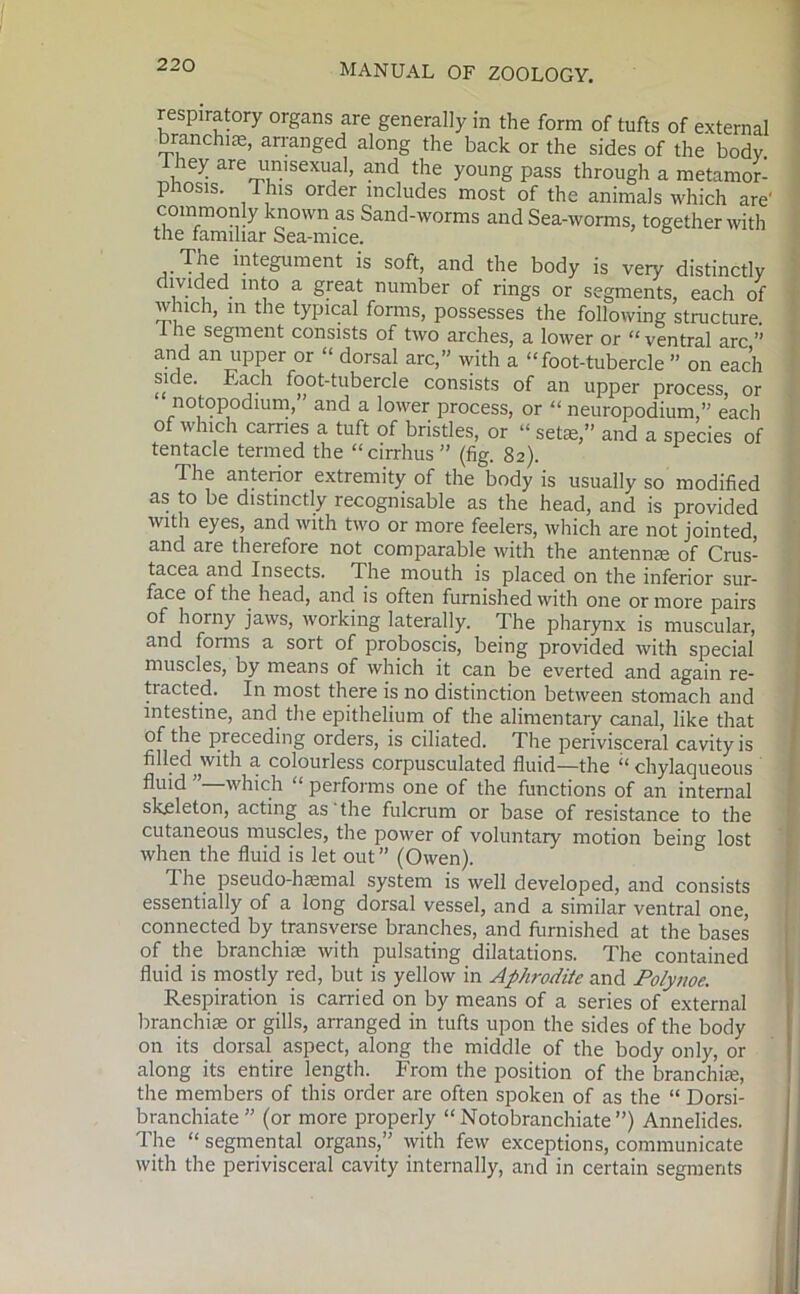 respiratory organs are generally in the form of tufts of external branchiae, arranged along the back or the sides of the body I hey are unisexual, and the young pass through a metamor- phosis. This order includes most of the animals which are' commonly known as Sand-worms and Sea-worms, together with the familiar Sea-mice. The integument is soft, and the body is very distinctly divided into a great number of rings or segments, each of which, in the typical forms, possesses the following structure i he segment consists of two arches, a lower or “ ventral arc ” and an upper or “ dorsal arc,” with a “foot-tubercle ” on each side. Each foot-tubercle consists of an upper process, or notopodium, and a lower process, or “ neuropodium,” each of which carries a tuft of bristles, or “ set®,” and a species of tentacle termed the “ cirrhus ” (fig. 82). The anterior extremity of the body is usually so modified as to be distinctly recognisable as the head, and is provided with eyes, and with two or more feelers, which are not jointed, and are therefore not comparable with the antenn® of Crus- tacea and Insects. The mouth is placed on the inferior sur- face of the head, and is often furnished with one or more pairs of horny jaws, working laterally. The pharynx is muscular, and forms a sort of proboscis, being provided with special muscles, by means of which it can be everted and again re- tracted. In most there is no distinction between stomach and intestine, and the epithelium of the alimentary canal, like that of the preceding orders, is ciliated. The perivisceral cavity is filled with a colourless corpusculated fluid—the “ chylaqueous fluid —which “ performs one of the functions of an internal skeleton, acting as the fulcrum or base of resistance to the cutaneous muscles, the power of voluntary motion being lost when the fluid is let out” (Owen). T. he pseudo-h®mal system is well developed, and consists essentially of a long dorsal vessel, and a similar ventral one, connected by transverse branches, and furnished at the bases of the branchi® with pulsating dilatations. The contained fluid is mostly red, but is yellow in Aphrodite and Polynoe. Respiration is carried on by means of a series of external branchi® or gills, arranged in tufts upon the sides of the body on its dorsal aspect, along the middle of the body only, or along its entire length. From the position of the branchi®, the members of this order are often spoken of as the “ Dorsi- branchiate ” (or more properly “ Notobranchiate ”) Annelides. The “ segmental organs,” with few exceptions, communicate with the perivisceral cavity internally, and in certain segments