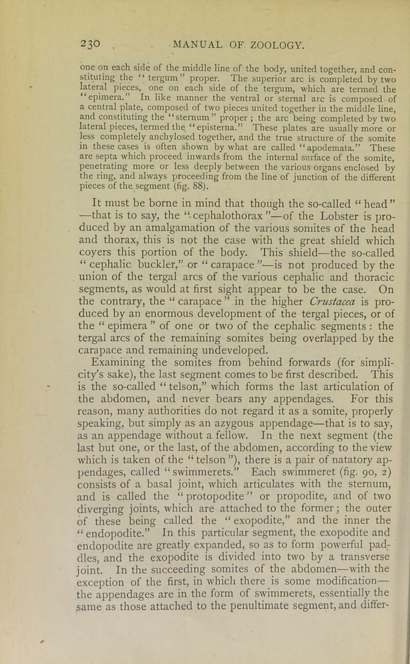 one on each side of the middle line of the body, united together, and con- stituting the 1 ‘ tergum ” proper. The superior arc is completed by two lateral pieces, one on each side of the tergum, which are termed the “epimera.” In like manner the ventral or sternal arc is composed of a central plate, composed of two pieces united together in the middle line, and constituting the “sternum” proper ; the arc being completed by two lateral pieces, termed the “episterna.” These plates are usually more or less completely anchylosed together, and the true structure of the somite in these cases is often shown by what are called “apodemata.” These are septa which proceed inwards from the internal surface of the somite, penetrating more or less deeply between the various organs enclosed by the ring, and always proceeding from the line of junction of the different pieces of the segment (fig. 88). It must be borne in mind that though the so-called “ head” —that is to say, the “■ cephalothorax ”—of the Lobster is pro- duced by an amalgamation of the various somites of the head and thorax, this is not the case with the great shield which coyers this portion of the body. This shield—the so-called “cephalic buckler,” or “carapace”—is not produced by the union of the tergal arcs of the various cephalic and thoracic segments, as would at first sight appear to be the case. On the contrary, the “ carapace ” in the higher Crustacea is pro- duced by an enormous development of the tergal pieces, or of the “ epimera ” of one or two of the cephalic segments : the tergal arcs of the remaining somites being overlapped by the carapace and remaining undeveloped. Examining the somites from behind forwards (for simpli- city’s sake), the last segment comes to be first described. This is the so-called “ telson,” which forms the last articulation of the abdomen, and never bears any appendages. For this reason, many authorities do not regard it as a somite, properly speaking, but simply as an azygous appendage—that is to say, as an appendage without a fellow. In the next segment (the last but one, or the last, of the abdomen, according to the view which is taken of the “ telson ”), there is a pair of natatory ap- pendages, called “ swimmerets.” Each swimmeret (fig. 90, 2) consists of a basal joint, which articulates with the sternum, and is called the “ protopodite ” or propodite, and of two diverging joints, which are attached to the former; the outer of these being called the “ exopodite,” and the inner the “ endopodite.” In this particular segment, the exopodite and endopodite are greatly expanded, so as to form powerful pad- dles, and the exopodite is divided into two by a transverse joint. In the succeeding somites of the abdomen—with the exception of the first, in which there is some modification— the appendages are in the form of swimmerets, essentially the same as those attached to the penultimate segment, and differ-