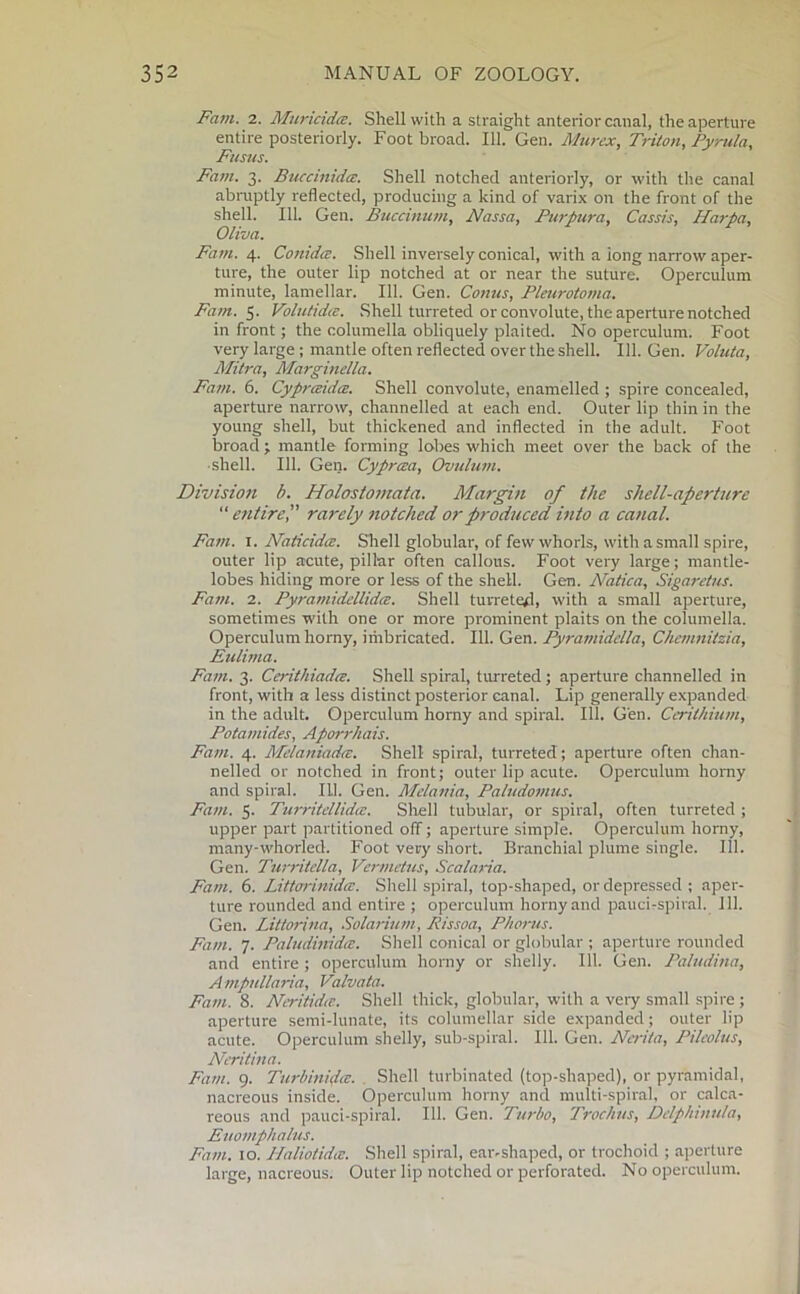 Fam. 2. Muricidce. Shell with a straight anterior canal, the aperture entire posteriorly. Foot broach 111. Gen. Murex, Triton, Pyrula, Fusus. Fam. 3. Buccinida. Shell notched anteriorly, or with the canal abruptly reflected, producing a kind of varix on the front of the shell. 111. Gen. Buccinum, Nassa, Purpura, Cassis, Harpa, Oliva. Fam. 4. Conidce. Shell inversely conical, with a iong narrow aper- ture, the outer lip notched at or near the suture. Operculum minute, lamellar. 111. Gen. Conus, Pleurotoma. Fam. 5. Volutidcv. Shell turreted or convolute, the aperture notched in front; the columella obliquely plaited. No operculum. Foot very large; mantle often reflected over the shell. 111. Gen. Voluta, Mitra, Marginella. Fam. 6. Cyprceidce. Shell convolute, enamelled ; spire concealed, aperture narrow, channelled at each end. Outer lip thin in the young shell, but thickened and inflected in the adult. Foot broad ; mantle forming lobes which meet over the back of the ■shell. 111. Gen. Cyprcea, Ovulum. Division b. Holostomata. Margin of the shell-aperture “ entirerarely notched or produced into a canal. Fam. 1. Naticidce. Shell globular, of few whorls, with a small spire, outer lip acute, pillar often callous. Foot very large; mantle- lobes hiding more or less of the shell. Gen. Natica, Sigaretus. Fam. 1. Pyramidellidce. Shell turreted, with a small aperture, sometimes with one or more prominent plaits on the columella. Operculum horny, iriibricated. 111. Gen. Pyramidella, Chemnitzia, Eulima. Fam. 3. Cerithiadce. Shell spiral, turreted; aperture channelled in front, with a less distinct posterior canal. Lip generally expanded in the adult. Operculum horny and spiral. 111. Gen. Cerilhium, Potamides, Aporrhais. Fam. 4. Melaniadce. Shell spiral, turreted ; aperture often chan- nelled or notched in front; outer lip acute. Operculum horny and spiral. III. Gen. Melania, Paludomus. Fam. 5. Turritellidce. Shell tubular, or spiral, often turreted ; upper part partitioned off; aperture simple. Operculum horny, many-whorled. Foot very short. Branchial plume single. 111. Gen. Turritella, Vermetus, Scalaria. Fam. 6. Littorinida:. Shell spiral, top-shaped, or depressed ; aper- ture rounded and entire ; operculum horny and pauci-spiral. 111. Gen. Littorina, Solarium, Rissoa, P/torus. Fam. 7. Paludinidce. Shell conical or globular ; aperture rounded and entire; operculum horny or shelly. 111. Gen. Paludina, Ampullaria, Valvata. Fam. 8. Ncritidie. Shell thick, globular, with a very small spire; aperture semi-lunate, its columellar side expanded; outer lip acute. Operculum shelly, sub-spiral. 111. Gen. Nerita, Pilcolus, Neritina. Fam. 9. Turbinidcc. Shell turbinated (top-shaped), or pyramidal, nacreous inside. Operculum horny and multi-spiral, or calca- reous and pauci-spiral. 111. Gen. Turbo, Trochus, Delphintila, Euomphalus. Fam. to. Haliotidce. Shell spiral, ear-shaped, or trochoid ; aperture large, nacreous. Outer lip notched or perforated. No operculum.