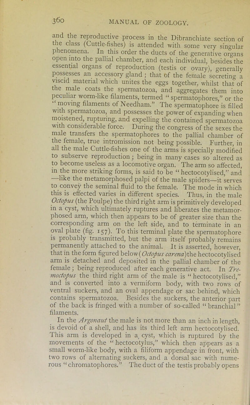 and the reproductive process in the Dibranchiate section of the class (Cuttle-fishes) is attended with some very singular phenomena. In this order the ducts of the generative organs open into the pallial chamber, and each individual, besides the essential organs of reproduction (testis or ovary), generally possesses an accessory gland : that of the female secreting a viscid material which unites the eggs together, whilst that of the male coats the spermatozoa, and aggregates them into peculiar worm-like filaments, termed “ spermatophores,” or the moving filaments of Needham.” The spermatophore is filled with spermatozoa, and possesses the power of expanding when moistened, rupturing, and expelling the contained spermatozoa with considerable force. During the congress of the sexes the male transfers the spermatophores to the pallial chamber of the female, true intromission not being possible. Further, in all the male Cuttle-fishes one of the arms is specially modified to subserve reproduction; being in many cases so altered as to become useless as a locomotive organ. The arm so affected, in the more striking forms, is said to be “ hectocotylised,” and —like the metamorphosed palpi of the male spiders—it serves to convey the seminal fluid to the female. The mode in which this is effected varies in different species. Thus, in the male Octopus (the Poulpe) the third right arm is primitively developed in a cyst, which ultimately ruptures and liberates the metamor- phosed arm, which then appears to be of greater size than the corresponding arm on the left side, and to terminate in an oval plate (fig. 157). To this terminal plate the spermatophore is probably transmitted, but the arm itself probably remains permanently attached to the animal. It is asserted, however, that in the form figured below(Octopus carcna)the hectocotylised arm is detached and deposited in the pallial chamber of the female; being reproduced after each generative act. In Trc- moctopus the third right arm of the male is “ hectocotylised,” and is converted into a vermiform body, with two rows of ventral suckers, and an oval appendage or sac behind, which contains spermatozoa. Besides the suckers, the anterior part of the back is fringed with a number of so-called “ branchial ” filaments. In the Argonaut the male is not more than an inch in length, is devoid of a shell, and has its third left arm hectocotylised. This arm is developed in a cyst, which is ruptured by the movements of the “ hectocotylus,” which then appears as a small worm-like body, with a filiform appendage in front, with two rows of alternating suckers, and a dorsal sac with nume- rous “ chromatophores.” The duct of the testis probably opens