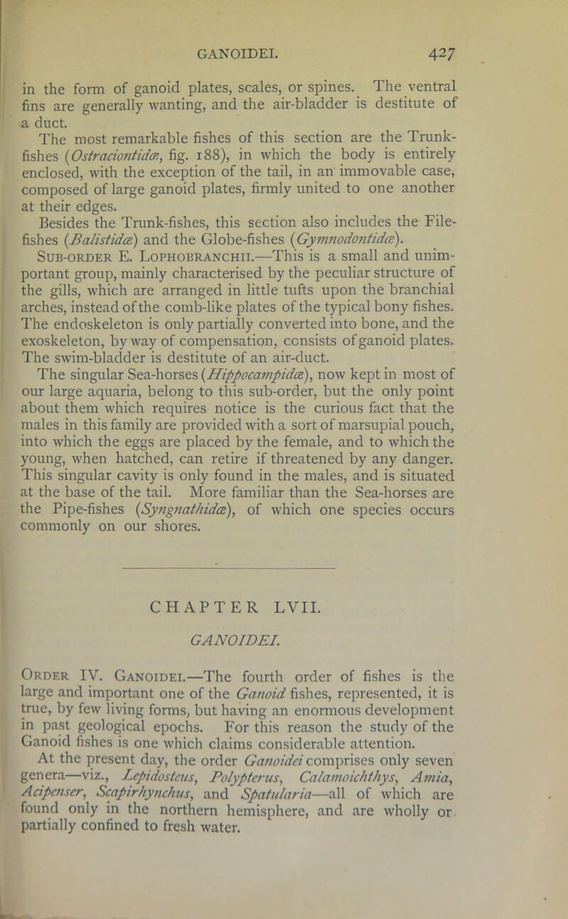 in the form of ganoid plates, scales, or spines. The ventral fins are generally wanting, and the air-bladder is destitute of a duct. The most remarkable fishes of this section are the Trunk- fishes (Ostraciontidcp., fig. 188), in which the body is entirely enclosed, with the exception of the tail, in an immovable case, composed of large ganoid plates, firmly united to one another at their edges. Besides the Trunk-fishes, this section also includes the File- fishes (Balistidce) and the Globe-fishes (Gymnodontidce). Sub-order E. Lophobranchii.—This is a small and unim- portant group, mainly characterised by the peculiar structure of the gills, which are arranged in little tufts upon the branchial arches, instead of the comb-like plates of the typical bony fishes. The endoskeleton is only partially converted into bone, and the exoskeleton, byway of compensation, consists of ganoid plates. The swim-bladder is destitute of an air-duct. The singular Sea-horses (Hippocampidce), now kept in most of our large aquaria, belong to this sub-order, but the only point about them which requires notice is the curious fact that the males in this family are provided with a sort of marsupial pouch, into which the eggs are placed by the female, and to which the young, when hatched, can retire if thi-eatened by any danger. This singular cavity is only found in the males, and is situated at the base of the tail. More familiar than the Sea-horses are the Pipe-fishes (Syngnathidce), of which one species occurs commonly on our shores. CHAPTER LVIE GANOIDEI. Order IV. Ganoidei.—The fourth order of fishes is the large and important one of the Ganoid fishes, represented, it is true, by few living forms, but having an enormous development in past geological epochs. For this reason the study of the Ganoid fishes is one which claims considerable attention. At the present day, the order Ganoidei comprises only seven genera—viz., Lepidosteus, Polyptcrus, Calamoichthys, Amia, Acipenser, Scapirhynchus, and Spatularia—all of which are found only in the northern hemisphere, and are wholly or partially confined to fresh water.