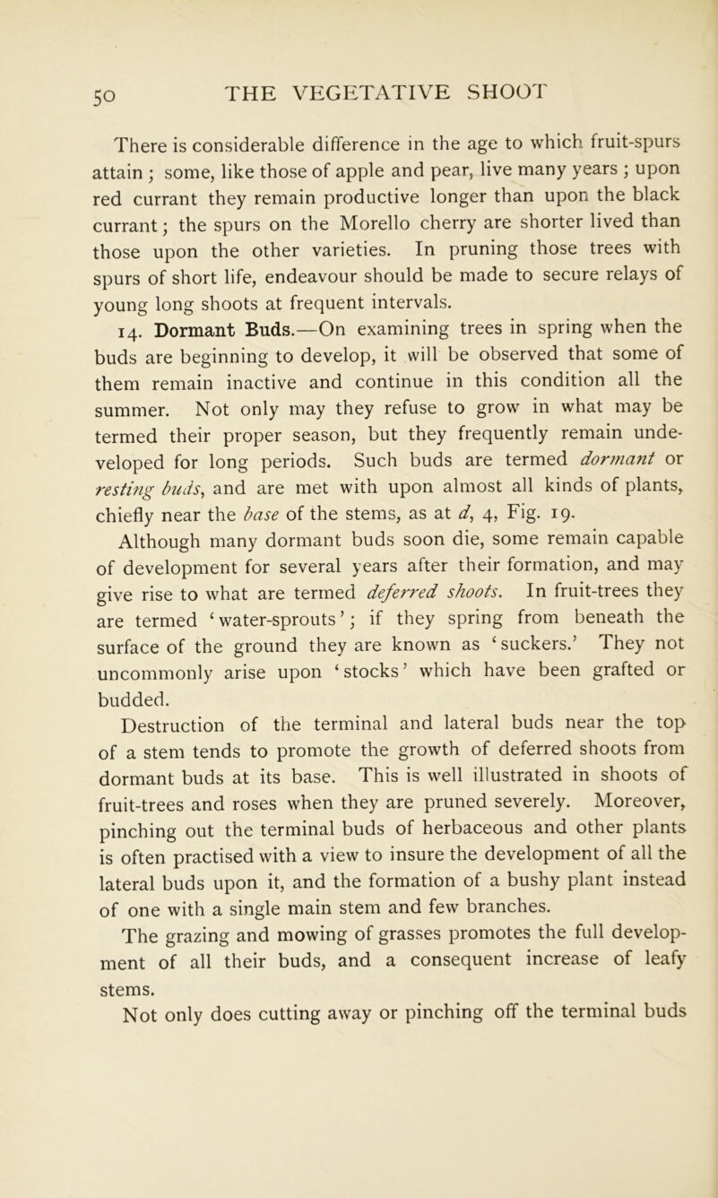 So There is considerable difference in the age to which fruit-spurs attain ; some, like those of apple and pear, live many years ; upon red currant they remain productive longer than upon the black currant; the spurs on the Morello cherry are shorter lived than those upon the other varieties. In pruning those trees with spurs of short life, endeavour should be made to secure relays of young long shoots at frequent intervals. 14. Dormant Buds.—On examining trees in spring when the buds are beginning to develop, it will be observed that some of them remain inactive and continue in this condition all the summer. Not only may they refuse to grow in what may be termed their proper season, but they frequently remain unde- veloped for long periods. Such buds are termed dormant or resting buds, and are met with upon almost all kinds of plants, chiefly near the base of the stems, as at d, 4, Fig. 19. Although many dormant buds soon die, some remain capable of development for several years after their formation, and may give rise to what are termed deferred shoots. In fruit-trees they are termed ‘ water-sprouts ’; if they spring from beneath the surface of the ground they are known as ‘ suckers.’ They not uncommonly arise upon ‘stocks’ which have been grafted or budded. Destruction of the terminal and lateral buds near the top of a stem tends to promote the growth of deferred shoots from dormant buds at its base. This is well illustrated in shoots of fruit-trees and roses when they are pruned severely. Moreover, pinching out the terminal buds of herbaceous and other plants is often practised with a view to insure the development of all the lateral buds upon it, and the formation of a bushy plant instead of one with a single main stem and few branches. The grazing and mowing of grasses promotes the full develop- ment of all their buds, and a consequent increase of leafy stems. Not only does cutting away or pinching off the terminal buds