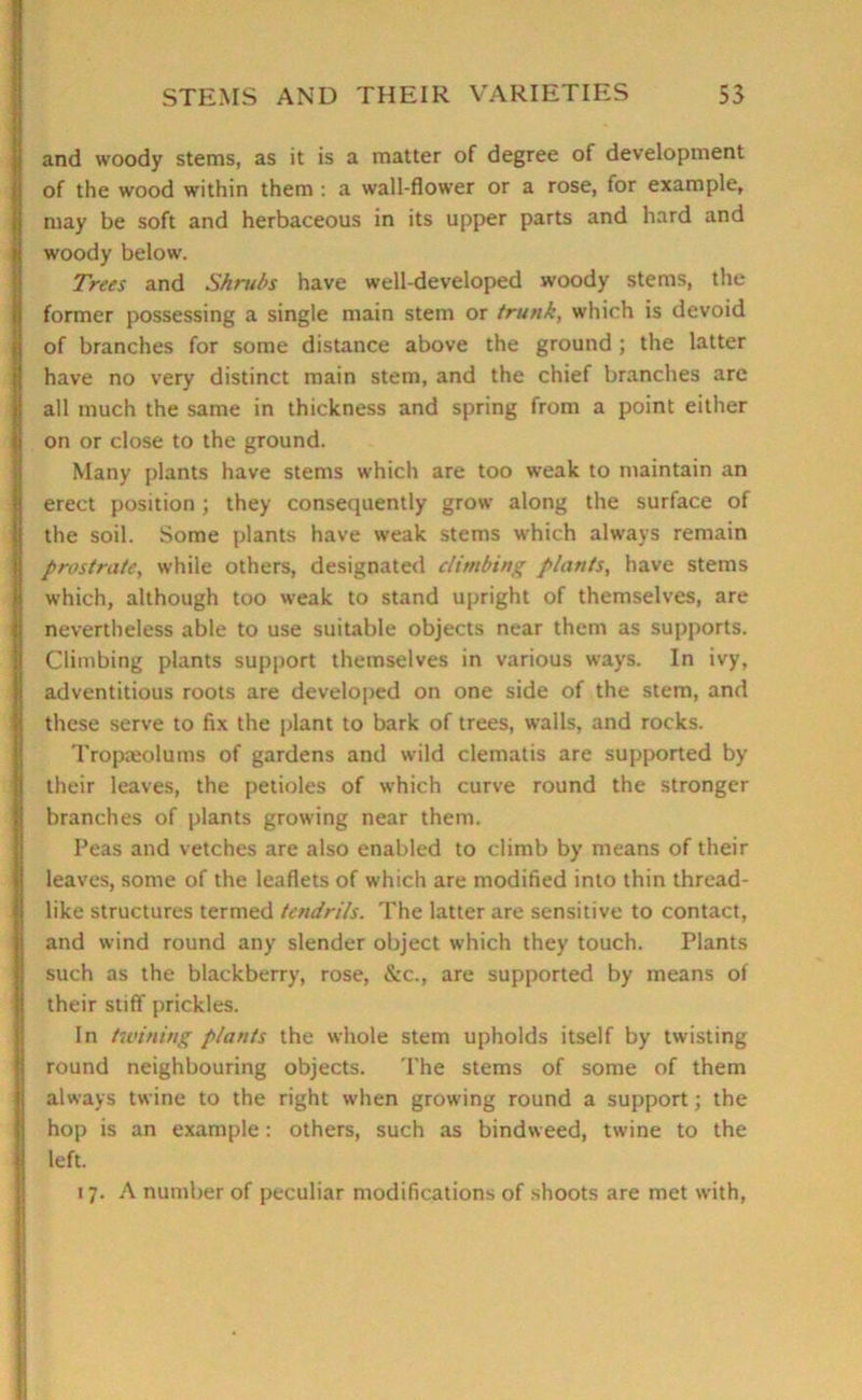 and woody stems, as it is a matter of degree of development of the wood within them : a wall-flower or a rose, for example, may be soft and herbaceous in its upper parts and hard and woody below. Trees and Shrubs have well-developed woody stems, the former possessing a single main stem or trunk, which is devoid of branches for some distance above the ground ; the latter have no very distinct main stem, and the chief branches arc all much the same in thickness and spring from a point either on or close to the ground. Many plants have stems which are too weak to maintain an erect position; they consequently grow along the surface of the soil. Some plants have weak stems which always remain prostrate, while others, designated climbing plants, have stems which, although too weak to stand upright of themselves, are nevertheless able to use suitable objects near them as supports. Climbing plants support themselves in various ways. In ivy, adventitious roots are developed on one side of the stem, and these serve to fix the plant to bark of trees, walls, and rocks. Tropaeolums of gardens and wild clematis are supported by their leaves, the petioles of which curve round the stronger branches of plants growing near them. Peas and vetches are also enabled to climb by means of their leaves, some of the leaflets of which are modified into thin thread- like structures termed tendrils. The latter are sensitive to contact, and wind round any slender object which they touch. Plants such as the blackberry, rose, &c., are supported by means of their stiff prickles. In twining plants the whole stem upholds itself by twisting round neighbouring objects. The stems of some of them always twine to the right when growing round a support; the hop is an example: others, such as bindweed, twine to the left. 17. A number of peculiar modifications of shoots are met with,