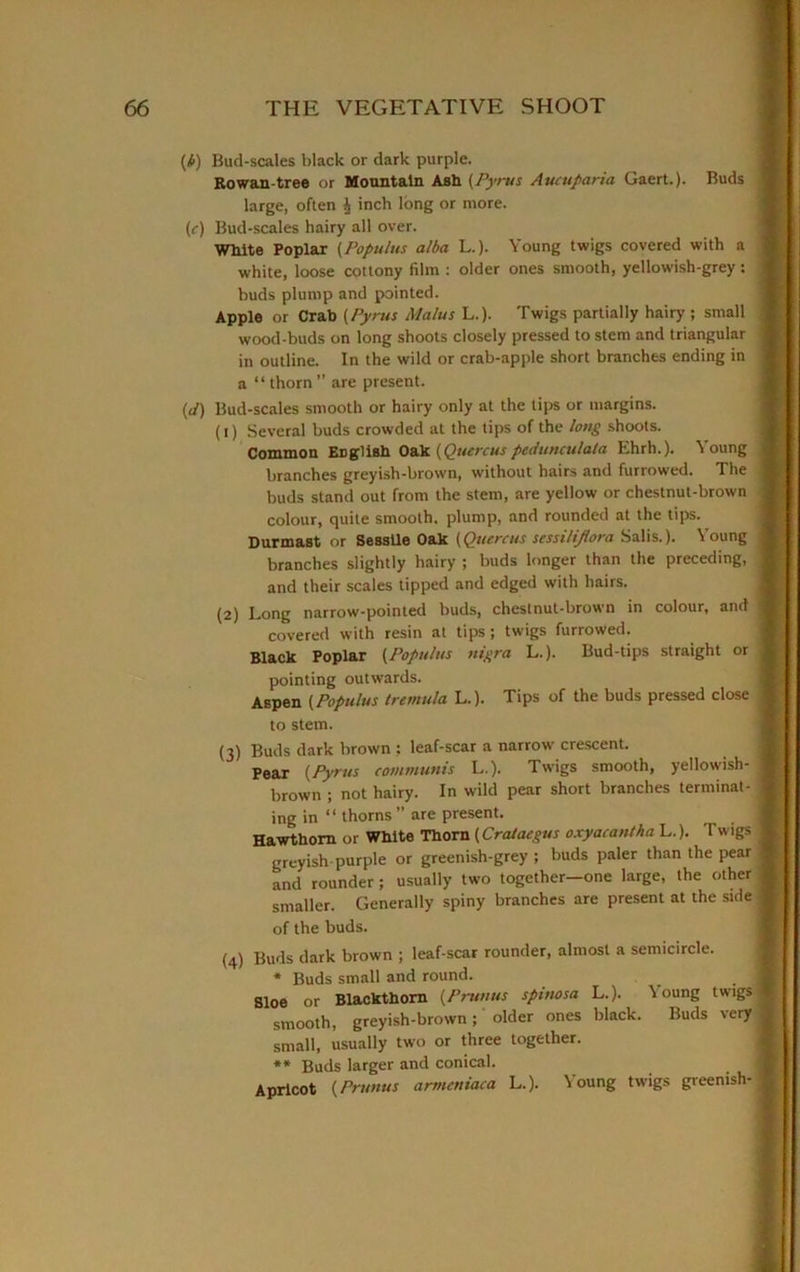 (b) Bud-scales black or dark purple. Rowan-tree or Mountain Ash (Pyrus Aucuparia Gaert.). Buds ! large, often ^ inch long or more. (c) Bud-scales hairy all over. White Poplar {Populus alba L.). Young twigs covered with a j white, loose cottony film : older ones smooth, yellowish-grey: j buds plump and pointed. Apple or Crab {Pyrus Malus L.). Twigs partially hairy ; small j wood-buds on long shoots closely pressed to stem and triangular j in outline. In the wild or crab-apple short branches ending in j a “ thorn” are present. {J) Bud-scales smooth or hairy only at the tips or margins. (1) Several buds crowded at the tips of the long shoots. Common English Oak {Quercus pedunculata Ehrh.). \ oung branches greyish-brown, without hairs and furrowed. The j buds stand out from the stem, are yellow or chestnut-brown j colour, quite smooth, plump, and rounded at the tips. Durmast or SessUe Oak (Quercus sessilijlora Salis.). Young j branches slightly hairy ; buds longer than the preceding, j and their scales tipped and edged with hairs. (2) Long narrow-pointed buds, chestnut-brown in colour, and \ covered with resin at tips; twigs furrowed. Black Poplar (Populus nigra L.). Bud-tips straight or ’ pointing outwards. Aspen {Populus tremula L.). Tips of the buds pressed close to stem. (3) Buds dark brown ; leaf-scar a narrow crescent. Pear {Pyrus communis L.). Twigs smooth, yellowish- j brown ; not hairy. In wild pear short branches terminal-1 ing in “ thorns ” are present. Hawthorn or White Thorn {Crataegus oxyacantha L.). Twigs j greyish purple or greenish-grey ; buds paler than the pear and rounder ; usually two together—one large, the other smaller. Generally spiny branches are present at the side of the buds. (4) Buds dark brown ; leaf-scar rounder, almost a semicircle. * Buds small and round. Sloe or Blackthorn (Prunus spinosa L.). \ oung twigs* smooth, greyish-brown; older ones black. Buds very 1 small, usually two or three together. ** Buds larger and conical. j Apricot {Prunus armcniaca L.). Young twigs greenish- ■