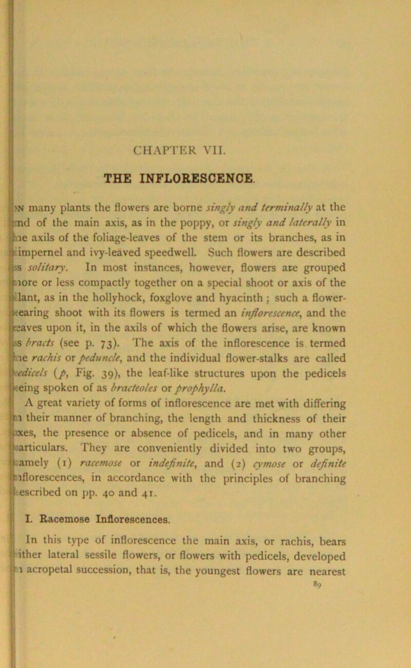 THE INFLORESCENCE \n many plants the flowers are borne singly and terminally at the ■nd of the main axis, as in the poppy, or singly and laterally in he axils of the foliage-leaves of the stem or its branches, as in impernel and ivy-leaved speedwell. Such flowers are described ss solitary>. In most instances, however, flowers are grouped \ lore or less compactly together on a special shoot or axis of the f'.lant, as in the hollyhock, foxglove and hyacinth; such a flower- tcearing shoot with its flowers is termed an inflorescence, and the iieaves upon it, in the axils of which the flowers arise, are known ;-s bracts (see p. 73). The axis of the inflorescence is termed :me rachis or peduncle, and the individual flower-stalks are called I edicels (/, Fig. 39), the leaf-like structures upon the pedicels freeing spoken of as bracteoles or prophyl/a. A great variety of forms of inflorescence are met with differing jri their manner of branching, the length and thickness of their jxxes, the presence or absence of pedicels, and in many other p articulars. They are conveniently divided into two groups, lamely (1) racemose or indefinite, and (2) cynwse or definite i^florescences, in accordance with the principles of branching l escribed on pp. 40 and 41. I. Racemose Inflorescences. In this type of inflorescence the main axis, or rachis, bears |) ither lateral sessile flowers, or flowers with pedicels, developed jf 1 acropetal succession, that is, the youngest flowers are nearest