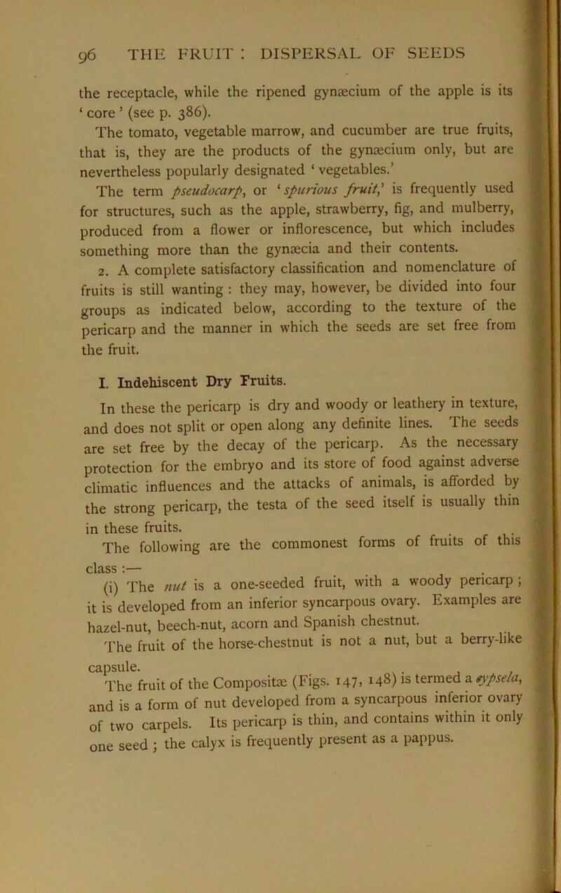 the receptacle, while the ripened gyntecium of the apple is its ‘ core ’ (see p. 386). The tomato, vegetable marrow, and cucumber are true fruits, that is, they are the products of the gynoecium only, but are nevertheless popularly designated * vegetables.’ The term pseudocarp, or ‘ spurious fruit,' is frequently used for structures, such as the apple, strawberry, fig, and mulberry, produced from a flower or inflorescence, but which includes something more than the gyntecia and their contents. 2. A complete satisfactory classification and nomenclature of fruits is still wanting : they may, however, be divided into four groups as indicated below, according to the texture of the pericarp and the manner in which the seeds are set free from the fruit. I. Indehiscent Dry Fruits. In these the pericarp is dry and woody or leathery in texture, and does not split or open along any definite lines. I he seeds are set free by the decay of the pericarp. As the necessary protection for the embryo and its store of food against adverse climatic influences and the attacks of animals, is afforded by the strong pericarp, the testa of the seed itself is usually thin in these fruits. The following are the commonest forms of fruits of this clciss •— (i) The nut is a one-seeded fruit, with a woody pericarp ; it is developed from an inferior syncarpous ovary. Examples are hazel-nut, beech-nut, acorn and Spanish chestnut. The fruit of the horse-chestnut is not a nut, but a berry-like capsule. The fruit of the Composite (Figs. 147, 148) is termed a eypsela, and is a form of nut developed from a syncarpous inferior ovary of two carpels. Its pericarp is thin, and contains within it only one seed ; the calyx is frequently present as a pappus.