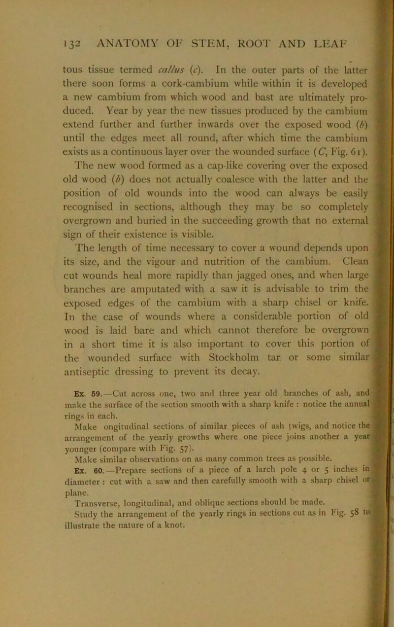 terns tissue termed callus (c). In the outer parts of the latter there soon forms a cork-cambium while within it is developed a new cambium from which wood and bast are ultimately pro- duced. Year by year the new tissues produced by the cambium extend further and further inwards over the exposed wood (b) until the edges meet all round, after which time the cambium exists as a continuous layer over the wounded surface (C, Fig. 61). The new wood formed as a cap like covering over the exposed old wood (b) does not actually coalesce with the latter and the position of old wounds into the wood can always be easily recognised in sections, although they may be so completely overgrown and buried in the succeeding growth that no external sign of their existence is visible. The length of time necessary to cover a wound depends upon its size, and the vigour and nutrition of the cambium. Clean cut wounds heal more rapidly than jagged ones, and when large branches are amputated with a saw it is advisable to trim the exposed edges of the cambium with a sharp chisel or knife. In the case of wounds where a considerable portion of old wood is laid bare and which cannot therefore be overgrown in a short time it is also important to cover this portion of the wounded surface with Stockholm tar or some similar antiseptic dressing to prevent its decay. Ex. 59.—Cut across one, two and three year old branches of .ash, and make the surface of the section smooth with a sharp knife : notice the annual rings in each. Make ongitudinal sections of similar pieces of ash twigs, and notice the arrangement of the yearly growths where one piece joins another a year younger (compare with Fig. 57). Make similar observations on as many common trees as possible. Ex. 60.—Prepare sections of a piece of a larch pole 4 or 5 inches in diameter : cut with a saw and then carefully smooth with a sharp chisel or plane. Transverse, longitudinal, and oblique sections should be made. Study the arrangement of the yearly rings in sections cut as in Fig. 58 t0 illustrate the nature of a knot.