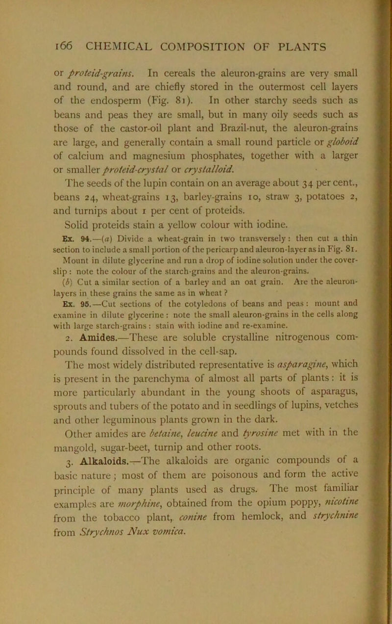 or proteid-grains. In cereals the aleuron-grains are very small and round, and are chiefly stored in the outermost cell layers of the endosperm (Fig. 81). In other starchy seeds such as beans and peas they are small, but in many oily seeds such as those of the castor-oil plant and Brazil-nut, the aleuron-grains are large, and generally contain a small round particle or globoid of calcium and magnesium phosphates, together with a larger or smaller proleid-crystal or crystalloid. The seeds of the lupin contain on an average about 34 per cent., beans 24, wheat-grains 13, barley-grains 10, straw 3, potatoes 2, and turnips about 1 per cent of proteids. Solid proteids stain a yellow colour with iodine. Ex. 94.— (a) Divide a wheat-grain in two transversely: then cut a thin section to include a small portion of the pericarp and aleuron-layer as in Fig. 81. Mount in dilute glycerine and run a drop of iodine solution under the cover- slip : note the colour of the starch-grains and the aleuron-grains. (b) Cut a similar section of a barley and an oat grain. Are the aleuron- layers in these grains the same as in wheat ? Ex. 95,—Cut sections of the cotyledons of beans and peas: mount and examine in dilute glycerine : note the small aleuron-grains in the cells along with large starch-grains : stain with iodine and re-examine. 2. Amides.—These are soluble crystalline nitrogenous com- pounds found dissolved in the cell-sap. The most widely distributed representative is asparagine, which is present in the parenchyma of almost all parts of plants : it is more particularly abundant in the young shoots of asparagus, sprouts and tubers of the potato and in seedlings of lupins, vetches and other leguminous plants grown in the dark. Other amides are betaine, leucine and tyrosine met with in the mangold, sugar-beet, turnip and other roots. 3. Alkaloids.—The alkaloids are organic compounds of a basic nature; most of them are poisonous and form the active principle of many plants used as drugs. The most familiar examples are morphine, obtained from the opium poppy, nicotine from the tobacco plant, conine from hemlock, and strychnine from Strychnos Nux vomica.