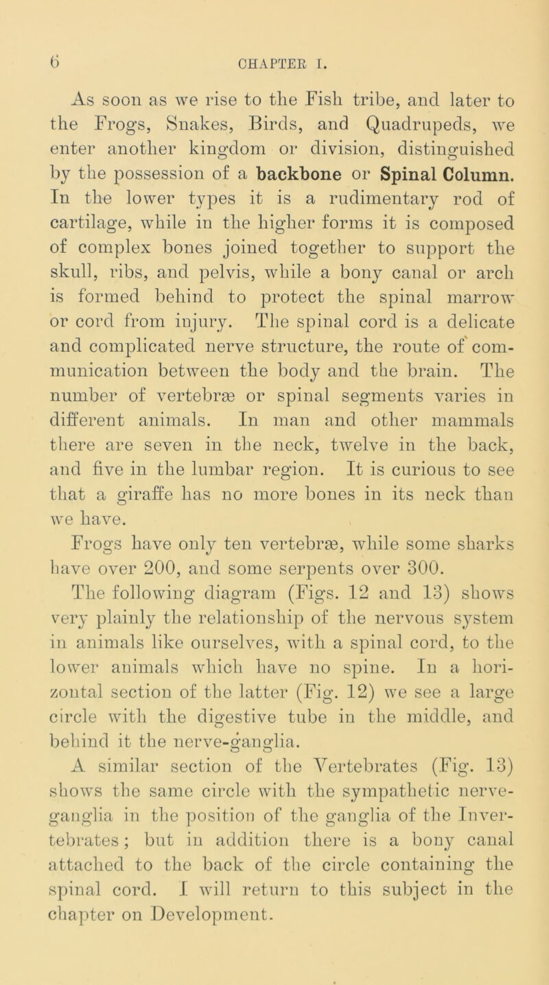 As soon as we rise to the Fish tribe, and later to the Frogs, Snakes, Birds, and Quadrupeds, we enter another kingdom or division, distinguished by the possession of a backbone or Spinal Column. In the lower types it is a rudimentary rod of cartilage, while in the higher forms it is composed of complex bones joined together to support the skull, ribs, and pelvis, while a bony canal or arch is formed behind to protect the spinal marrow or cord from injury. The spinal cord is a delicate and complicated nerve structure, the route of com- munication between the body and the brain. The number of vertebras or spinal segments varies in different animals. In man and other mammals there are seven in the neck, twelve in the back, and five in the lumbar region. It is curious to see that a giraffe has no more bones in its neck than we have. Frogs have only ten vertebras, while some sharks have over 200, and some serpents over 300. The following diagram (Figs. 12 and 13) shows very plainly the relationship of the nervous system in animals like ourselves, with a spinal cord, to the lower animals which have no spine. In a hori- zontal section of the latter (Fig. 12) we see a large circle with the digestive tube in the middle, and behind it the nerve-ganglia. o o A similar section of the Vertebrates (Fig. 13) shows the same circle with the sympathetic nerve- ganglia in the position of the ganglia of the Inver- tebrates ; but in addition there is a bony canal attached to the back of the circle containing the spinal cord. I will return to this subject in the chapter on Development.