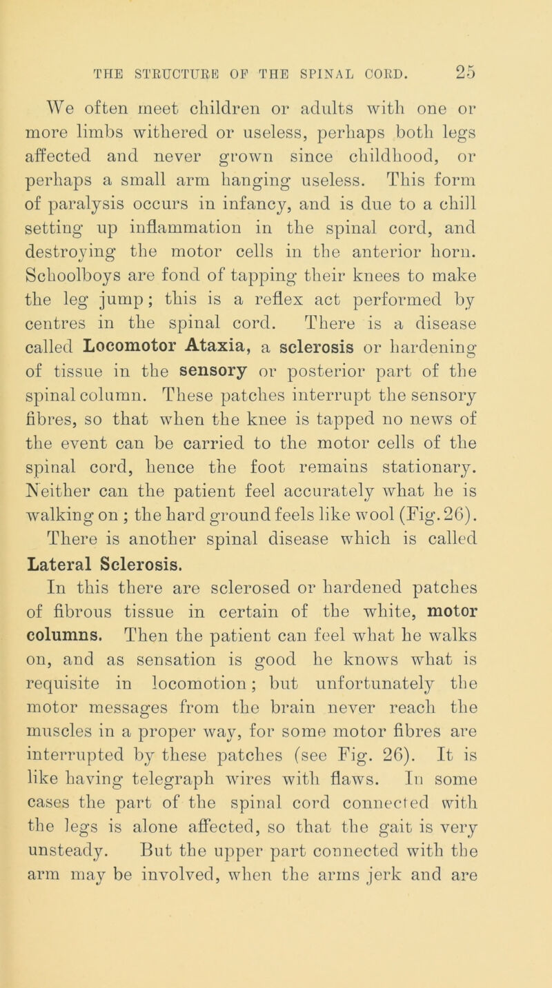 We often meet children or adults with one or more limbs withered or useless, perhaps both legs affected and never grown since childhood, or perhaps a small arm hanging useless. This form of paralysis occurs in infancy, and is due to a chill setting up inflammation in the spinal cord, and destroying the motor cells in the anterior horn. Schoolboys are fond of tapping their knees to make the leg jump; this is a reflex act performed by centres in the spinal cord. There is a disease called Locomotor Ataxia, a sclerosis or hardening of tissue in the sensory or posterior part of the spinal column. These patches interrupt the sensory fibres, so that when the knee is tapped no news of the event can be carried to the motor cells of the spinal cord, hence the foot remains stationary. Neither can the patient feel accurately what he is walking on ; the hard ground feels like wool (Fig. 26). There is another spinal disease which is called Lateral Sclerosis. In this there are sclerosed or hardened patches of fibrous tissue in certain of the white, motor columns. Then the patient can feel what he walks on, and as sensation is good he knows what is requisite in locomotion; but unfortunately the motor messages from the brain never reach the muscles in a proper way, for some motor fibres are interrupted by these patches (see Fig. 26). It is like having telegraph wires with flaws. In some cases the part of the spinal cord connected with the legs is alone affected, so that the gait is very unsteady. But the upper part connected with the arm may be involved, when the arms jerk and are