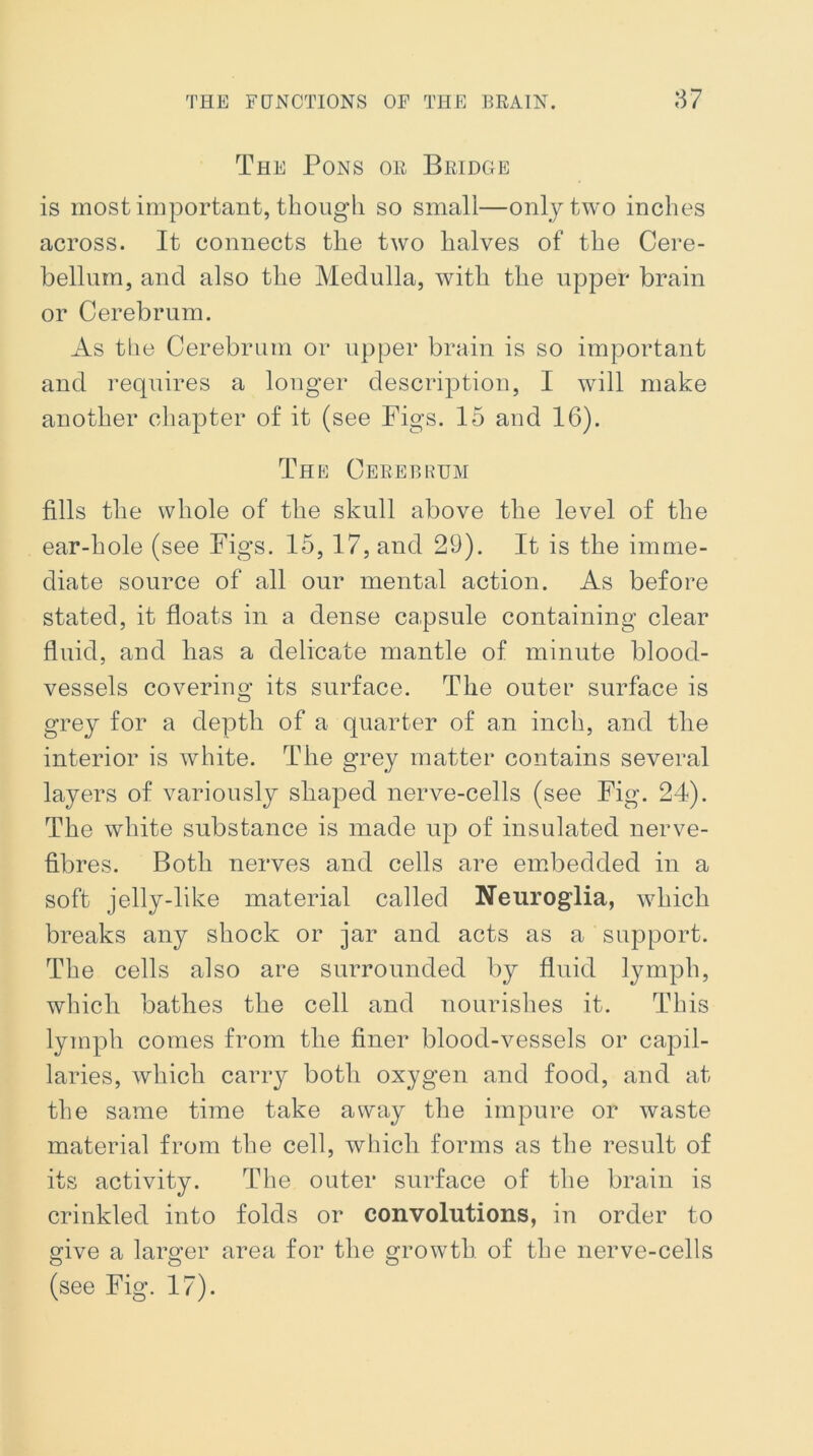 The Pons or Bridge is most important, though so small—only two inches across. It connects the two halves of the Cere- bellum, and also the Medulla, with the upper brain or Cerebrum. As the Cerebrum or upper brain is so important and requires a longer description, I will make another chapter of it (see Pigs. 15 and 16). The Cerebrum fills the whole of the skull above the level of the ear-hole (see Figs. 15, 17, and 29). It is the imme- diate source of all our mental action. As before stated, it floats in a dense capsule containing clear fluid, and has a delicate mantle of minute blood- vessels covering its surface. The outer surface is grey for a depth of a quarter of an inch, and the interior is white. The grey matter contains several layers of variously shaped nerve-cells (see Fig. 24). The white substance is made up of insulated nerve- fibres. Both nerves and cells are embedded in a soft jelly-like material called Neuroglia, which breaks any shock or jar and acts as a support. The cells also are surrounded by fluid lymph, which bathes the cell and nourishes it. This lymph comes from the finer blood-vessels or capil- laries, which carry both oxygen and food, and at the same time take away the impure or waste material from the cell, which forms as the result of its activity. The outer surface of the brain is crinkled into folds or convolutions, in order to give a larger area for the growth of the nerve-cells (see Fig. 17).