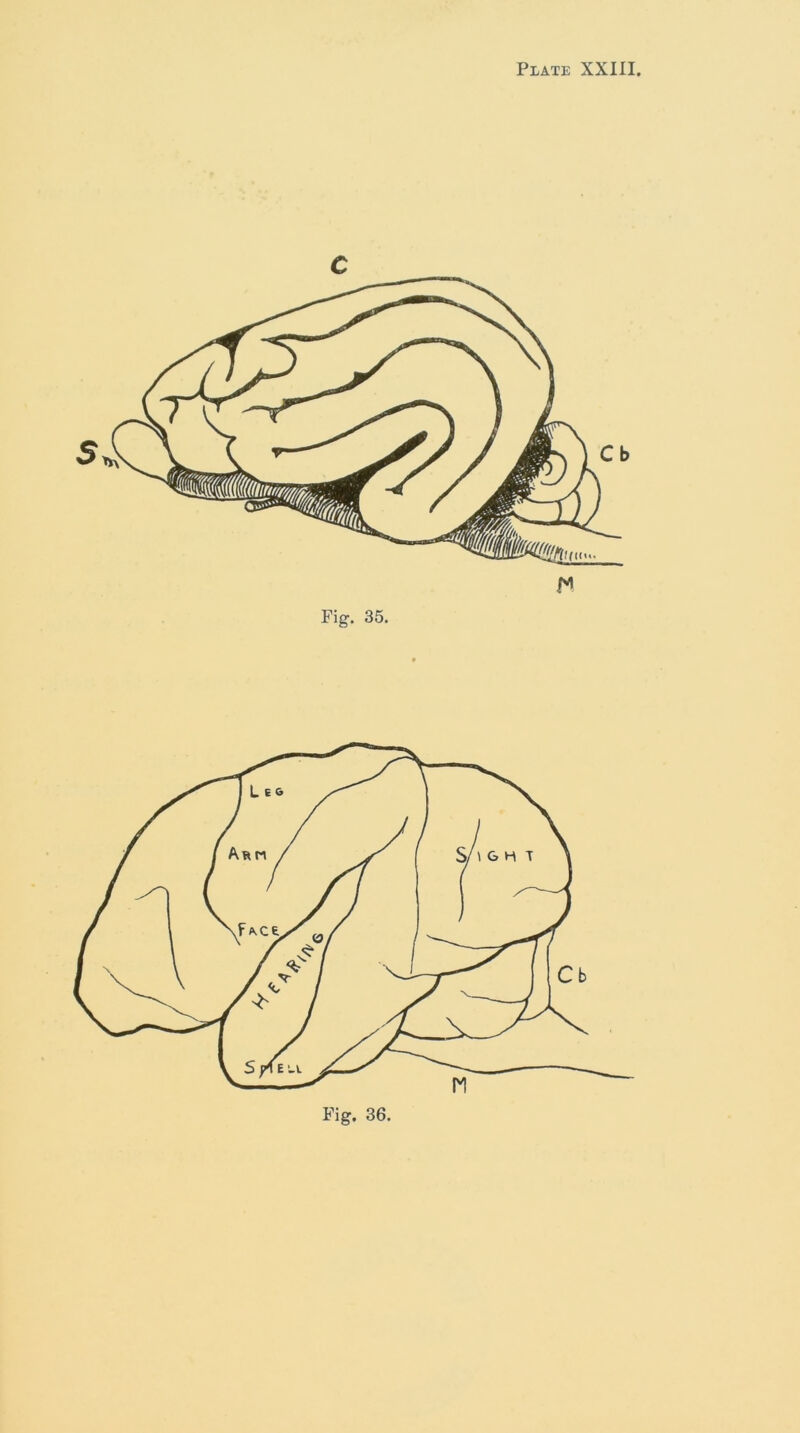Fig. 35.