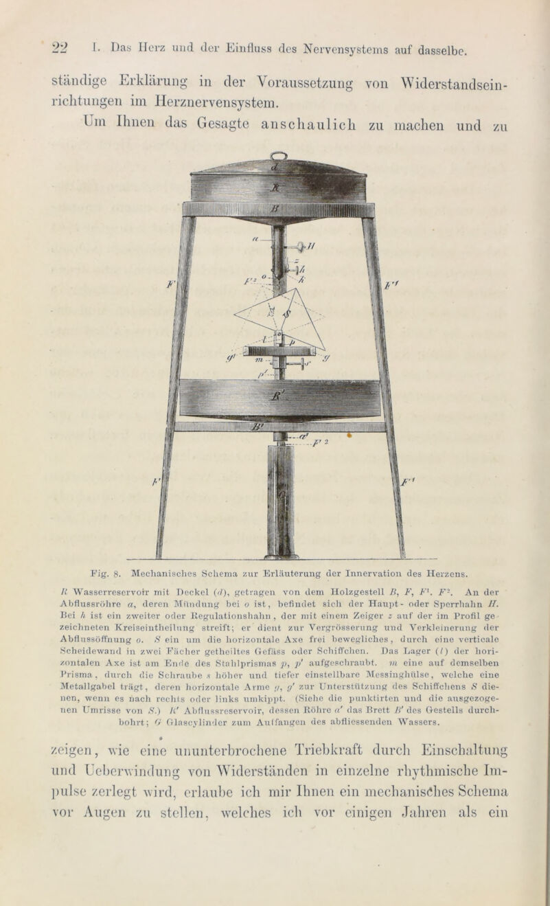 ständige Erklärung in der Voraussetzung richtungen im Herznervensystem. Um Ihnen das Gesagte anschaulich von Widerstandsein- zu machen und zu Fig. 8. Mechanisches Schema zur Erläuterung (1er Innervation des Herzens. /{ Wasserreservoir mit Deckel (c)), getragen von dem Holzgestell ß, F, F'. F-. An der Abflussrohre a, deren Mündung bei o ist, befindet sieh der Haupt- oder Sperrhahn II. Bei h ist ein zweiter oder Regulationshahn, der mit einem Zeiger z auf der im Profil ge zeichneten Kreiseintheilung streift; er dient zur Vergrösserung und Verkleinerung der Abflussöffnung o. S ein um die horizontale Axe frei bewegliches, durch eine verticalo Scheidewand in zwei Fächer getheiltes Gefäss oder Schiffchen. Das Lager (/) der hori- zontalen Axe ist am Ende des Stahlprismas p, p’ aufgeschraubt, in eine auf demselben Prisma, durch die Schraube .s- höher und tiefer einstellbare Messinghülse, welche eine Metallgabcl trägt, deren horizontale Arme </, g‘ zur Unterstützung des Schiffchens S die- nen, wenn es nach rechts oder links umkippt. (Siche die punktirten und die ausgezoge- nen Umrisse von S.) /(' Abflussreservoir, dessen Röhre a' das Brett ß' des Gestells durch- bohrt; fj Glascylinder zum Aulfangen des abfliessenden Wassers. • zeigen, wie eine ununterbrochene Triebkraft durch Einschaltung und Ueberwindung von Widerständen in einzelne rhythmische Im- pulse zerlegt wird, erlaube ich mir Ihnen ein mechanisches Schema vor Augen zu stellen, welches ich vor einigen Jahren als ein