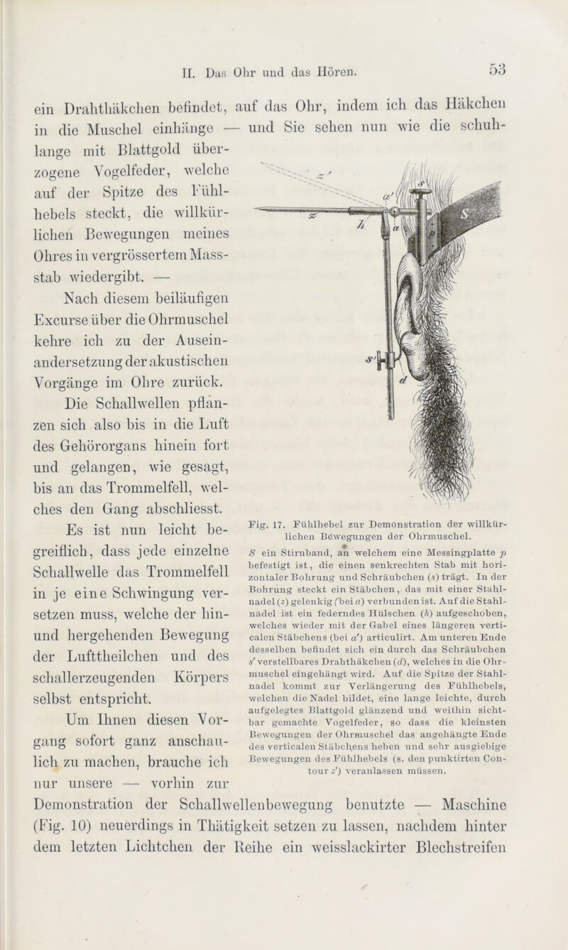 ein Drahtliäkchen befindet, £iuf das Ohr, indem ich das Häkchen in die Muschel einhänge — und Sie sehen nun wie die schuh- lange mit Blattgold über- zogene Vogelfeder, welche auf der Spitze des Fühl- liebels steckt, die willkür- lichen Bewegungen meines Ohres in vergrössertem Mass- stab wiedergibt. — Nach diesem beiläufigen Excurse über die Ohrmuschel kehre ich zu der Ausein- andersetzung der akustischen Vorgänge im Ohre zurück. Die Schallwellen pflan- zen sich also bis in die Luft des Gehörorgans hinein fort und gelangen, wie gesagt, bis an das Trommelfell, wel- ches den Gang abschliesst. Es ist nun leicht be- greiflich, dass jede einzelne Schallwelle das Trommelfell in je eine Schwingung ver- setzen muss, welche der liin- und hergehenden Bewegung der Lufttheilchen und des schallerzeugenden Körpers selbst entspricht. Um Ihnen diesen Vor- gang sofort ganz anschau- lich zu machen, brauche ich nur unsere — vorhin zur Demonstration der Schallwellenbewegung benutzte — Maschine (Fig. 10) neuerdings in Thätigkeit setzen zu lassen, nachdem hinter dem letzten Lichtchen der Reihe ein weisslackirter Blechstreifen Fig. 17. Fühlhebel zur Demonstration der willkür- lichen Bewegungen der Ohrmuschel. S ein Stirnband, an welchem eine Messingplatte p befestigt ist, die einen senkrechten Stab mit hori- zontaler Bohrung und Schräubchen (.$) trägt. In der Bohrung steckt ein Stäbchen, das mit einer Stahl- nadel («) gelenkig ('bei a) verbunden ist. Auf die Stahl- nadel ist ein federndes Hülschen (/<) aufgeschoben, welches wieder mit der Gabel eines längeren verti- calen Stäbchens (bei a') articulirt. Am unteren Ende desselben befindet sich ein durch das Schräubchen «'verstellbares Drahtliäkchen (d), welches in die Ohr- muschel eingehängt wird. Auf die Spitze der Stahl- nadel kommt zur Verlängerung des Fühlhebels, welchen die Nadel bildet, eine lange leichte, durch aufgelegtes Blattgold glänzend und weithin sicht- bar gemachte Vogelfeder, so dass die kleinsten Bewegungen der Ohrmuschel das angehängte Ende des verticalen Stäbchens heben und sehr ausgiebige Bewegungen des Fühlhebels (s. den punktirten Con- tours') veranlassen müssen.