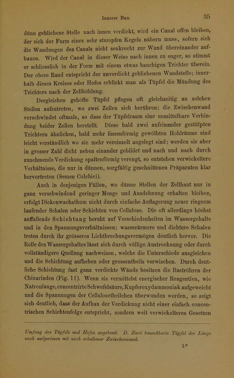 dünn gebliebene Stelle nach innen verdickt, wird ein Canal offen bleiben, der sich der Form eines sehr stumpfen Kegels nähern muss, sofern sich die Wandungen des Canals nicht senkrecht zur Wand übereinander auf- bauen. Wird der Canal in dieser Weise nach innen zu enger, so stimmt er schliesslich in der Form mit einem etwas bauchigen Trichter tiberein. Der obere Rand entspricht der unverdickt gebliebenen Wandstelle; inner- halb dieses Kreises oder Hofes erblickt man als Tüpfel die Mündung des Trichters nach der Zellhöhlung. Dergleichen gehöfte Tüpfel pflegen oft gleichzeitig an solchen Stellen aufzutreten, wo zwei Zellen sich berühren; die Zwischenwand verschwindet oftmals, so dass der Tüpfelraum eine unmittelbare Verbin- dung beider Zellen herstellt. Diese bald zwei aufeinander gestülpten Trichtern ähnlichen, bald mehr linsenförmig gewölbten Hohlräume sind leicht verständlich wo sie mehr vereinzelt angelegt sind; werden sie aber in grosser Zahl dicht neben einander gebildet und nach und nach durch zunehmende Verdickung spaltenförmig verengt, so entstehen verwickeltere Verhältnisse, die nur in dünnen, sorgfältig geschnittenen Präparaten klar hervortreten (Semen Colchici). Auch in denjenigen Fällen, wo dünne Stellen der Zellhaut nur in ganz verschwindend geringer Menge und Ausdehnung erhalten bleiben, erfolgt Dickenwachsthum nicht durch einfache Auflagerung neuer ringsum laufender Schalen oder Schichten von Cellulose. Die oft allerdings höchst auffallende Schichtung beruht auf Verschiedenheiten im Wassergehalte und in den Spannungsverhältnissen; wasserärmere und dichtere Schalen treten durch ihr grösseres Lichtbrechungsvermögen deutlich hervor. Die Rolle des Wassergehaltes lässt sich durch völlige Austrocknung oder durch vollständigere Quellung nachweisen, welche die Unterschiede ausgleichcn und die Schichtung aufheben oder grossentheils verwischen. Durch deut- liche Schichtung fast ganz verdickte Wände besitzen die Baströhren der Chinarinden (Fig. 11). Wenn sie vermittelst energischer Reagentien, wie Natronlauge,concentrirteSchwefelsäure,Kupferoxydammoniak aufgeweicht und die Spannungen der Cellulosetheilchen überwunden werden, so zeigt sich deutlich, dass der Aufbau der Verdickung nicht einer einfach concen- trischen Schichtenfolge entspricht, sondern weit verwickelteren Gesetzen Umfang des Tüpfels und Hofes angebend. D. Zwei benachbarte Tüpfel der Länge nach aufgerissen mit noch erhaltener Zivis chemo and. 3*