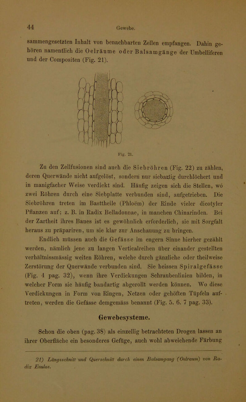 sammengesetzten Inhalt von benachbarten Zellen empfangen. Dahin ge- hören namentlich die 0eiräume oder Balsarngänge der Umbelliferen und der Compositen (Fig. 21). Zu den Zellfusionen sind auch die Siebröhren (Fig. 22) zu zählen, deren Querwände nicht aufgelöst, sondern nur siebartig durchlöchert und in manigfacher Weise verdickt sind. Häufig zeigen sich die Stellen, wö zwei Röhren durch eine Siebplatte verbunden sind, aufgetrieben. Die Siebröhren treten im Basttheile (Phloem) der Rinde vieler dicotyler Pflanzen auf; z. B. in Radix Belladonnae, in manchen Chinarinden. Bei der Zartheit ihres Baues ist es gewöhnlich erforderlich, sie mit Sorgfalt heraus zu präpariren, um sie klar zur Anschauung zu bringen. Endlich müssen auch die Gefässe im engern Sinne hierher gezählt werden, nämlich jene zu langen Verticalreihen über einander gestellten verhältnissmässig weiten Röhren, welche durch gänzliche oder theilweise Zerstörung der Querwände verbunden sind. Sie heissen Spiralgefässe (Fig. 4 pag. 32), wenn ihre Verdickungen Schraubenlinien bilden, in welcher Form sie häufig bandartig abgerollt werden können. Wo diese Verdickungen in Form von Ringen, Netzen oder gehöften Tüpfeln auf- treten, werden die Gefässe demgemäss benannt (Fig. 5. 6. 7 pag. 33). Gewebesysteme. Schon die oben (pag. 38) als einzellig betrachteten Drogen lassen an ihrer Oberfläche ein besonderes Gefüge, auch wohl abweichende Färbung 21) Längsschnitt und Querschnitt durch einen Balsamgang (Oelraum) von Ra- dix Enulae.