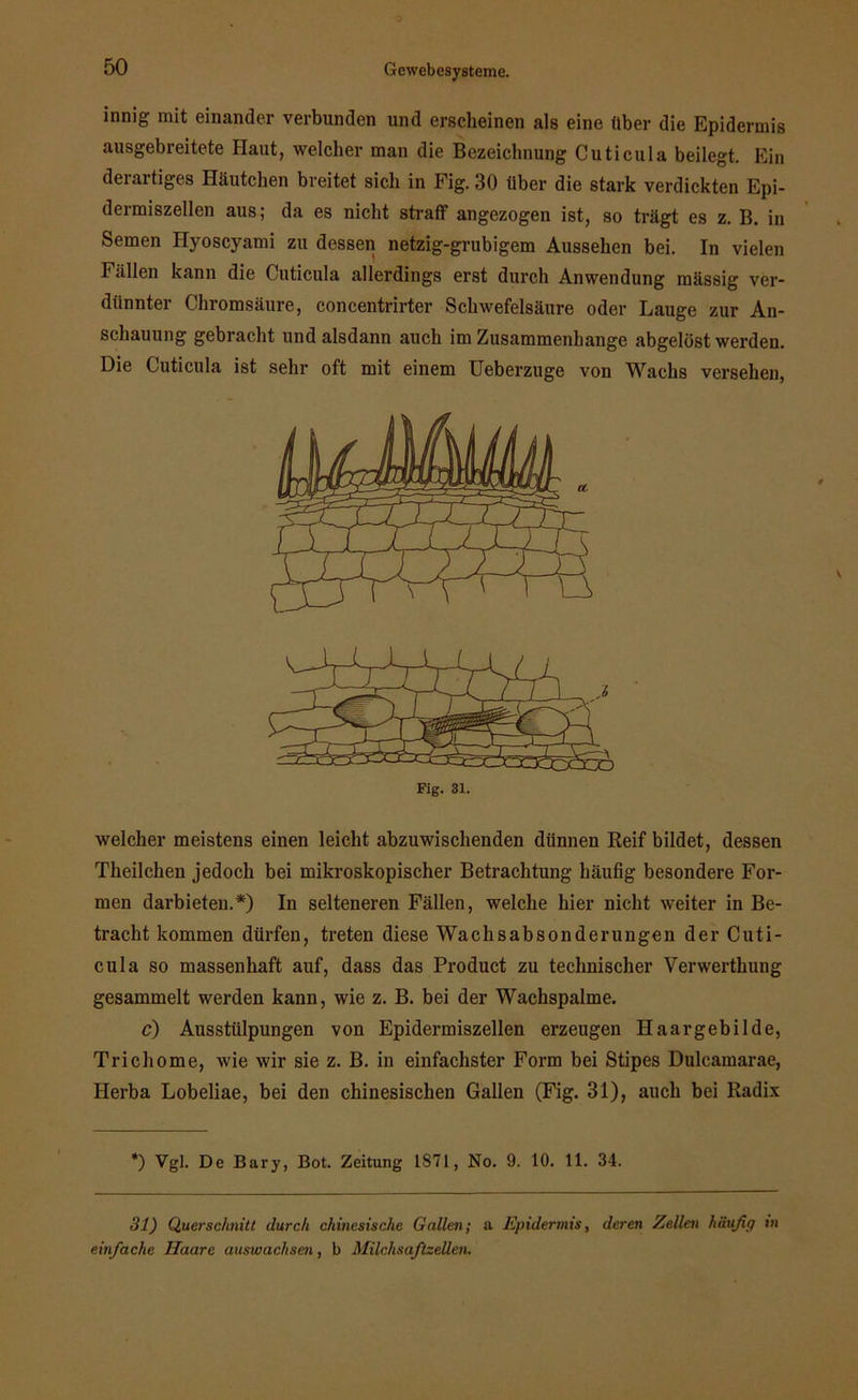 innig mit einander verbunden und erscheinen als eine über die Epidermis ausgebreitete Haut, welcher man die Bezeichnung Cuticula beilegt. Ein derartiges Häutchen breitet sich in Fig. 30 tiber die stark verdickten Epi- dermiszellen aus; da es nicht straff angezogen ist, so trägt es z. B. in Semen Hyoscyami zu dessen netzig-grubigem Aussehen bei. In vielen Fällen kann die Cuticula allerdings erst durch Anwendung mässig ver- dünnter Chromsäure, concentrirter Schwefelsäure oder Lauge zur An- schauung gebracht und alsdann auch im Zusammenhänge abgelöst werden. Die Cuticula ist sehr oft mit einem Ueberzuge von Wachs versehen, welcher meistens einen leicht abzuwischenden dünnen Reif bildet, dessen Theilchen jedoch bei mikroskopischer Betrachtung häufig besondere For- men darbieten.*) In selteneren Fällen, welche hier nicht weiter in Be- tracht kommen dürfen, treten diese Wachsabsonderungen der Cuti- cula so massenhaft auf, dass das Product zu technischer Verwerthung gesammelt werden kann, wie z. B. bei der Wachspalme. c) Ausstülpungen von Epidermiszellen erzeugen Haargebilde, Trichome, wie wir sie z. B. in einfachster Form bei Stipes Dulcamarae, Herba Lobeliae, bei den chinesischen Gallen (Fig. 31), auch bei Radix *) Vgl. De Bary, Bot. Zeitung 1871, No. 9. 10. 11. 34. 31) Querschnitt durch chinesische Gallen; a Epidermis, deren Zellen häufig in einfache Haare auswaclisen, b Milchsaftzellen.