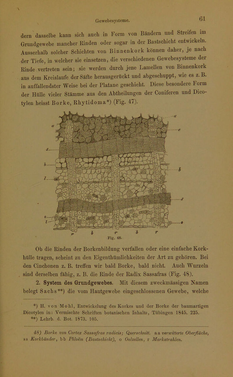 dern dasselbe kann sich auch in Form von Bändern und Streifen im Grundgewebe mancher Rinden oder sogar in der Bastschicht entwickeln. Ausserhalb solcher Schichten von Binnenkork können daher, je nach der Tiefe, in welcher sie einsetzen, die verschiedenen Gewebesysteme der Rinde vertreten sein; sie werden durch jene Lamellen von Binnenkork aus dem Kreisläufe der Säfte herausgerückt und abgeschuppt, wie es z.B. in auffallendster Weise bei der Platane geschieht. Diese besondere Form der Hülle vieler Stämme aus den Abtheilungen der Coniferen und Dico- tylen heisst Borke, Rhytidoma*) (Fig. 47). Ob die Rinden der Borkenbildung verfallen oder eine einfache Kork- hiille tragen, scheint zu den Eigenthümlichkeiten der Art zu gehören. Bei den Cinchonen z. B. treffen wir bald Borke, bald nicht. Auch Wurzeln sind derselben fähig, z. B. die Rinde der Radix Sassafras (Fig. 48). 2. System des Grundgewebes. Mit diesem zweckmässigen Namen belegt Sachs**) die vom Hautgewebe eingeschlossenen Gewebe, welche *) H. von Mo hl, Entwickelung des Korkes und der Borke der baumartigen Dicotylen in: Vermischte Schriften botanischen Inhalts, Tübingen 1845. 225. **) Lehrb. d. Bot. 1873. 105. 48) Borke von Cortex Sassafras radicis; Querschnitt, aa verwitterte Oberfläche, ss Korkbänder, bb Phloem (Bastschicht), o Oelzellen, r Markstrahlen.