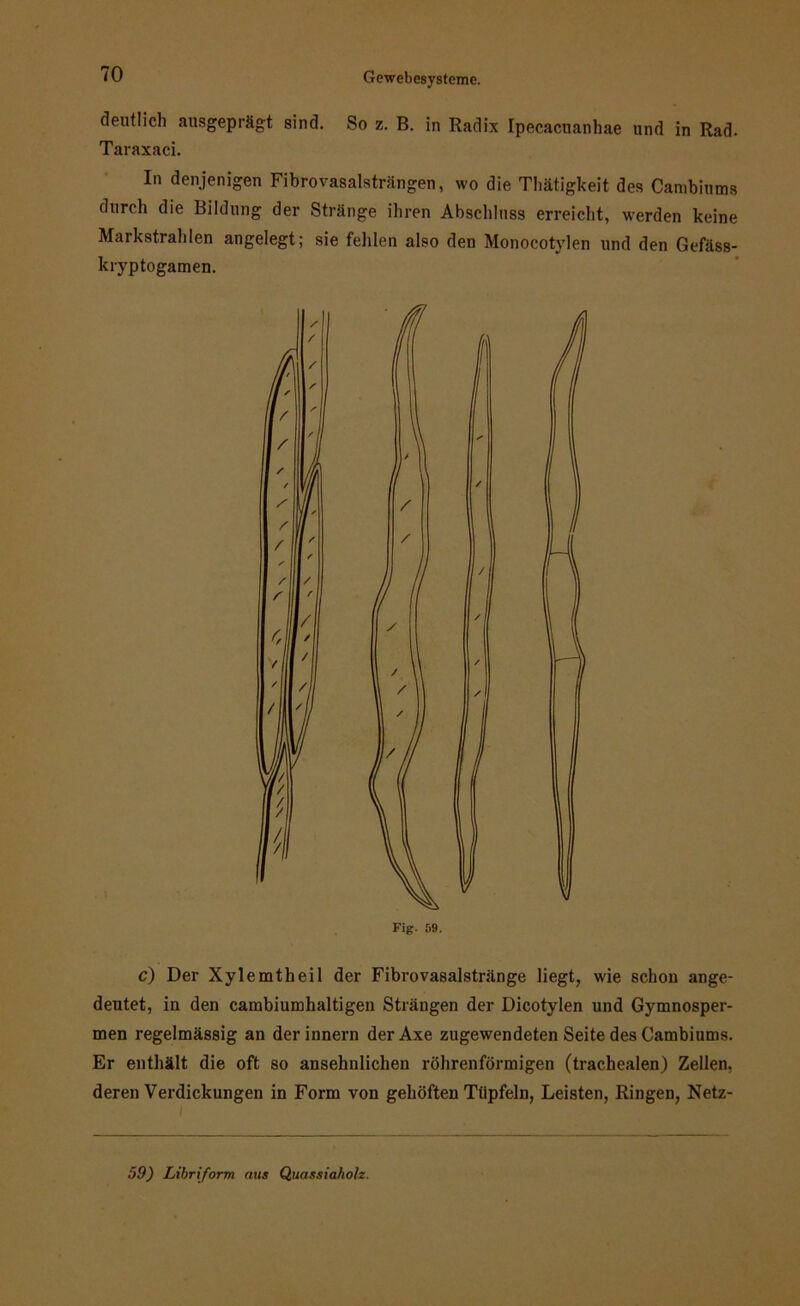 deutlich ausgeprägt sind. So z. B. in Radix Ipecacuanhae und in Rad. Taraxaci. In denjenigen Fibrovasalsträngen, wo die Thätigkeit des Cambiums durch die Bildung der Stränge ihren Abschluss erreicht, werden keine Markstrahlen angelegt; sie fehlen also den Monocotvlen und den Gefäss- kryptogamen. c) Der Xylemtheil der Fibrovasalstränge liegt, wie schon ange- deutet, in den cambiumhaltigen Strängen der Dicotylen und Gymnosper- men regelmässig an der innern der Axe zugewendeten Seite des Cambiums. Er enthält die oft so ansehnlichen röhrenförmigen (trachealen) Zellen, deren Verdickungen in Form von gehöften Tüpfeln, Leisten, Ringen, Netz- Fig. 59. 59) Libriform aus Quassiaholz.