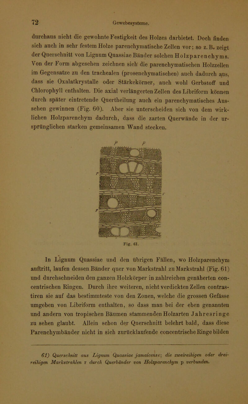 durchaus nicht die gewohnte Festigkeit des Holzes darbietet. Doch finden sich auch in sehr festem Holze parenchymatische Zellen vor; so z. B. zeigt der Querschnitt von Lignum Quassiae Bänder solchen Holzparenchyms. Von der Form abgesehen zeichnen sich die parenchymatischen Holzzellen im Gegensätze zu den trachealen (prosenchymatischen) auch dadurch aus, dass sie Oxalatkrystalle oder Stärkekörner, auch wohl Gerbstoff und Chlorophyll enthalten. Die axial verlängerten Zellen desLibriform können durch später eintretende Quertheilung auch ein parenchymatisches Aus- sehen gewinnen (Fig. 60). Aber sie unterscheiden sich von dem wirk- lichen Holzparenchym dadurch, dass die zarten Querwände in der ur- sprünglichen starken gemeinsamen Wand stecken. Fig. 61. In Lignum Quassiae und den übrigen Fällen, wo Holzparenchym auftritt, laufen dessen Bänder quer von Markstrahl zu Markstrahl (Fig. 61) und durchschneiden den ganzen Holzkörper in zahlreichen genäherten con- centrischen Ringen. Durch ihre weiteren, nicht verdickten Zellen contras- tiren sie auf das bestimmteste von den Zonen, welche die grossen Gefässe umgeben von Libriform enthalten, so dass man bei der eben genannten und andern von tropischen Bäumen stammenden Holzarten Jahresringe zu sehen glaubt. Allein schon der Querschnitt belehrt bald, dass diese Parenchymbänder nicht in sich zurücklaufende concentrische Ringe bilden 61) Querschnitt aus Lignum Quassiae jamaicense; die zweireihigen oder drei- reihigen Markstrahlen r durch Querbänder von Holzparenchym p verbunden.