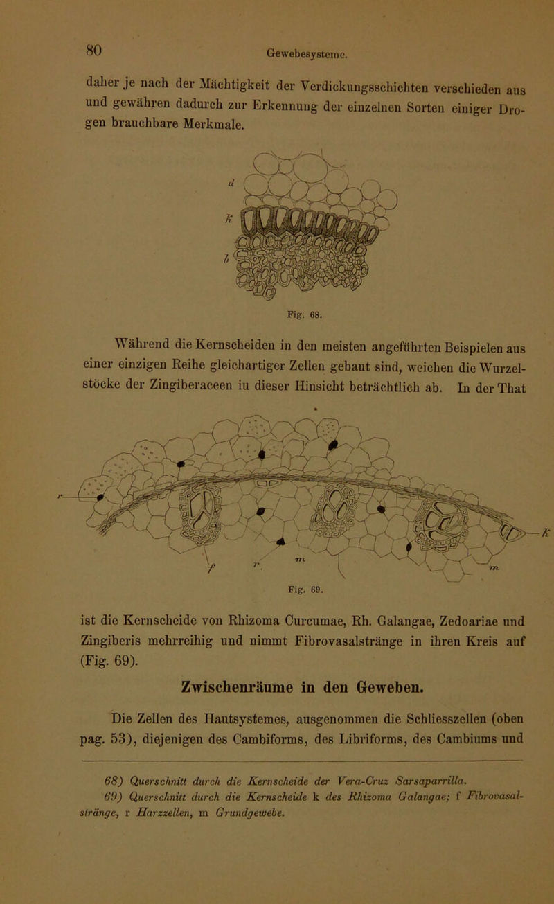 tlaliei je nach der Mächtigkeit der Verdickungsschichten verschieden aus und gewähren dadurch zur Erkennung der einzelnen Sorten einiger Dro- gen brauchbare Merkmale. Fig. 68. Während die Kernscheiden in den meisten angeführten Beispielen aus einer einzigen Reihe gleichartiger Zellen gebaut sind, weichen die Wurzel- stöcke der Zingiberaceen iu dieser Hinsicht beträchtlich ab. In der That Fig. 69. ist die Kernscheide von Rlnzoma Curcumae, Rh. Galangae, Zedoariae und Zingiberis mehrreihig und nimmt Fibrovasalstränge in ihren Kreis auf (Fig. 69). Zwischenräume in den Geweben. Die Zellen des Hautsystemes, ausgenommen die Schliesszellen (oben pag. 53), diejenigen des Cambiforms, des Libriforms, des Cambiums und 68) Querschnitt durch die Kernscheide der Vera-Cruz Sarsaparrilla. 69) Querschnitt durch die Kernscheide k des Rhizoma Galangae; f Fibrovasal- stränge, r Harzzellen, m Grundgewebe.